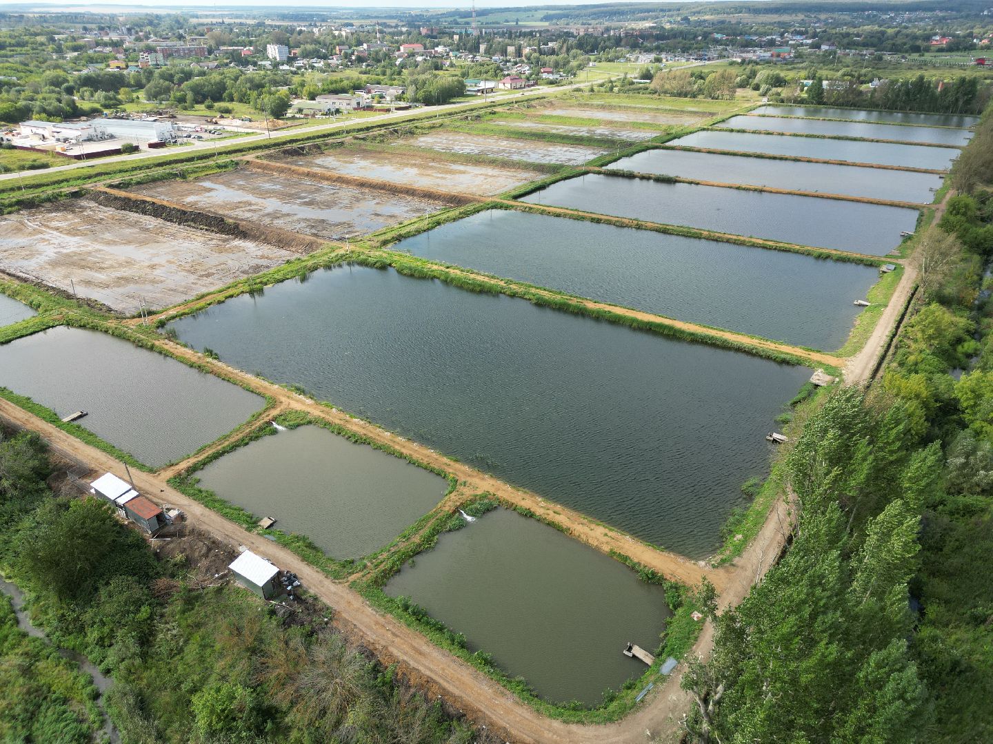 осетр, хозяйство,видео с коптера,