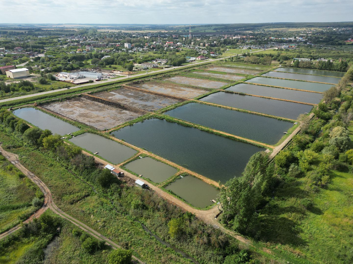 осетр, хозяйство,видео с коптера,