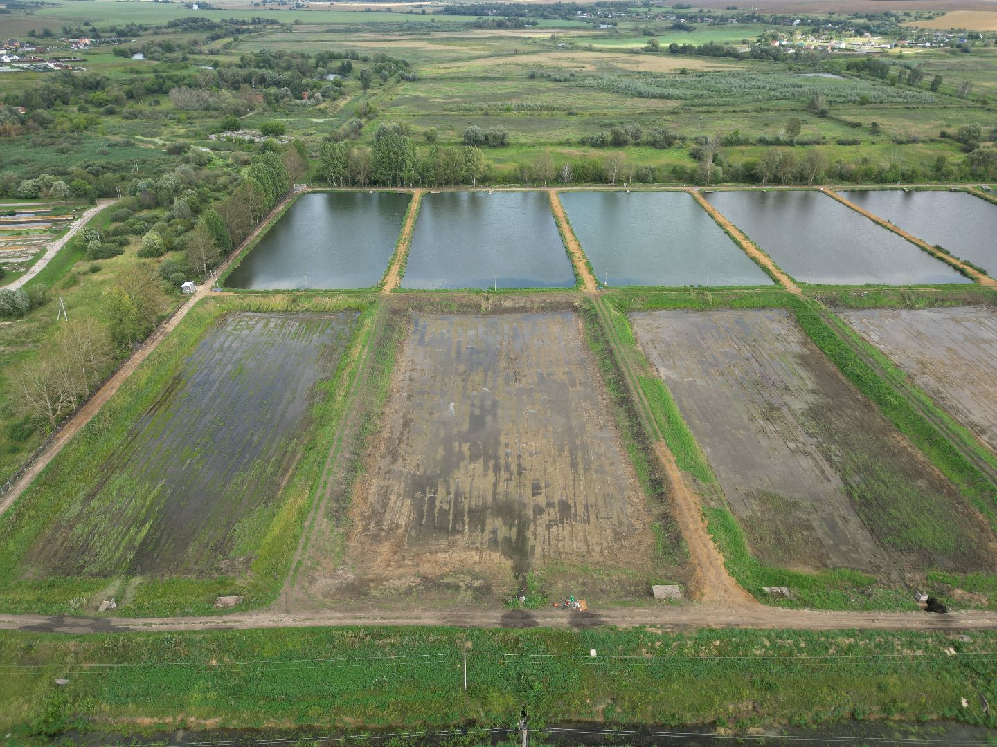 осетр, хозяйство,видео с коптера,