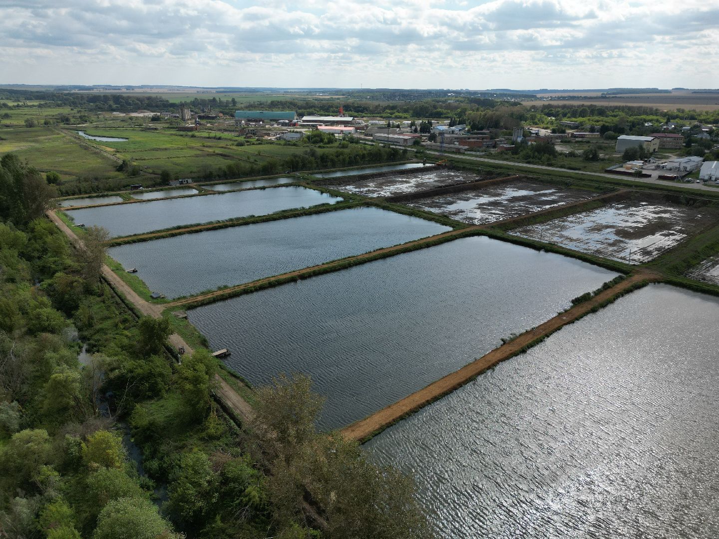 осетр, хозяйство,видео с коптера,