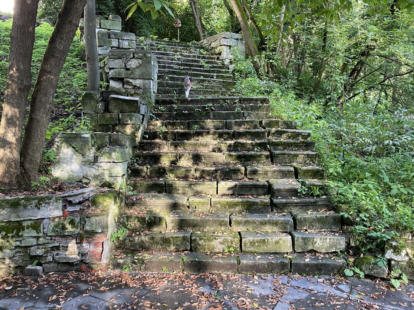 Балашиха, северное Кучино, усадьба Рябушинских, Дмитрий Рябушинский