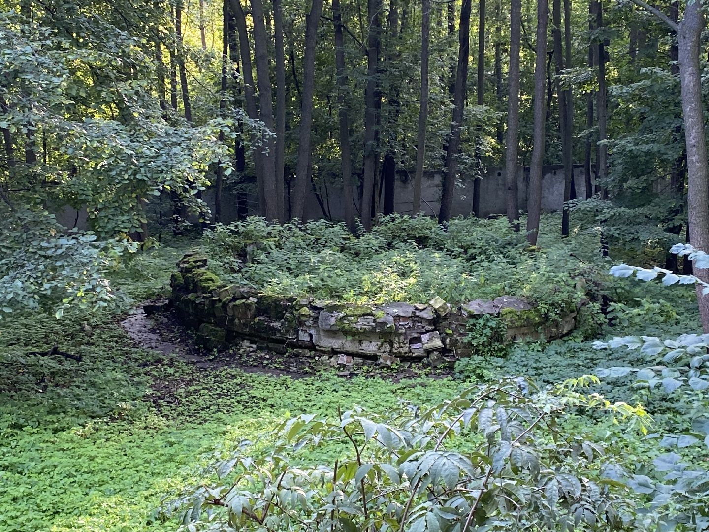 Балашиха, северное Кучино, усадьба Рябушинских, Дмитрий Рябушинский