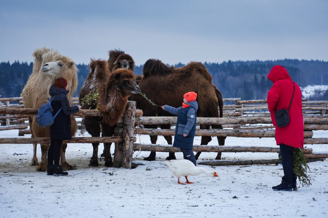 Сергиев Посад