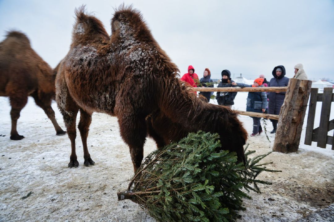 Сергиев Посад