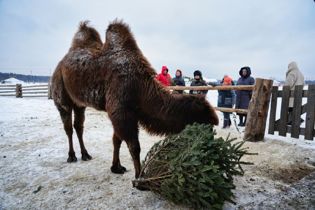 Сергиев Посад