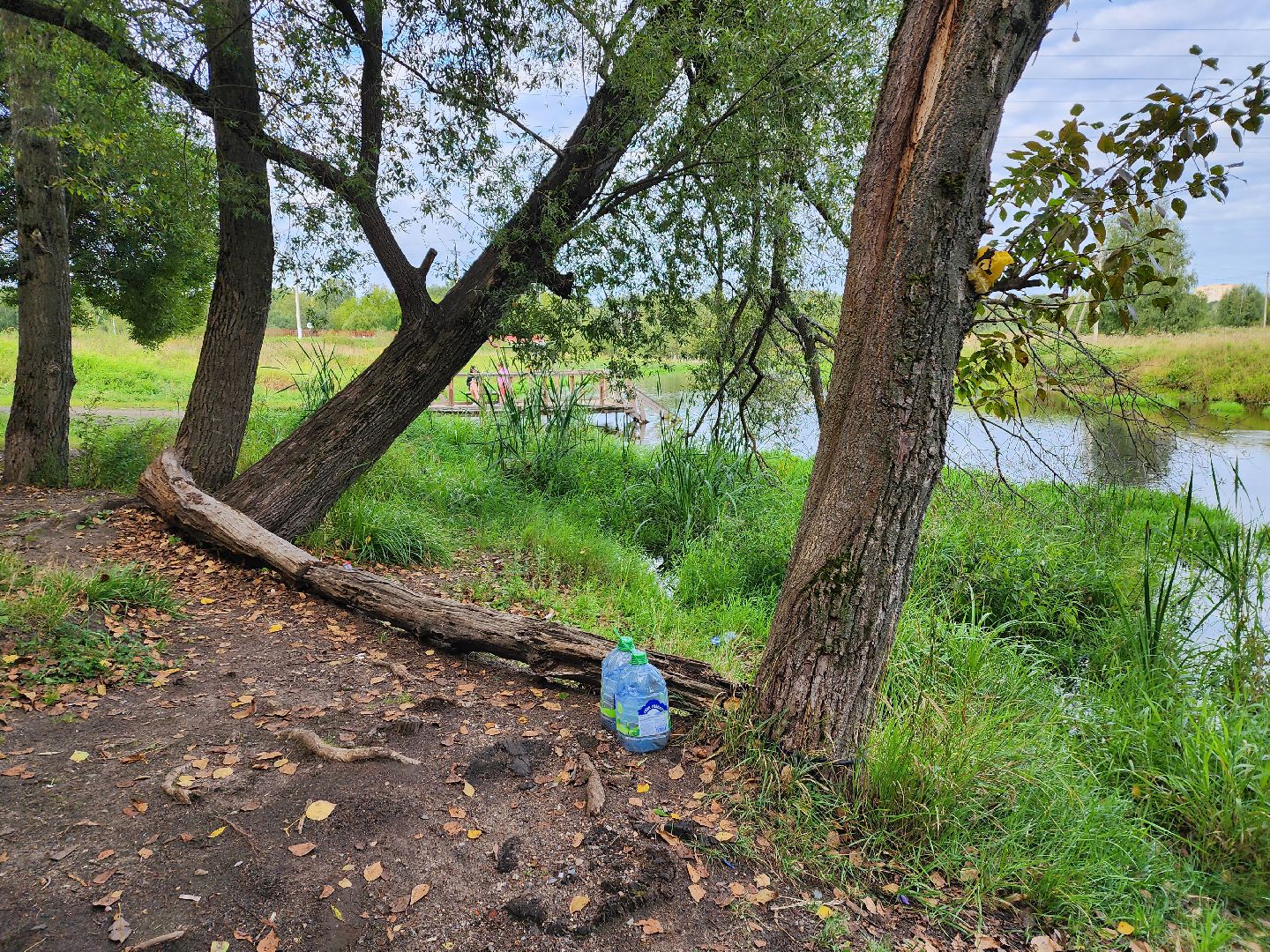 река, городской округ пушкинский, водоём, вода, лето в подмосковье,