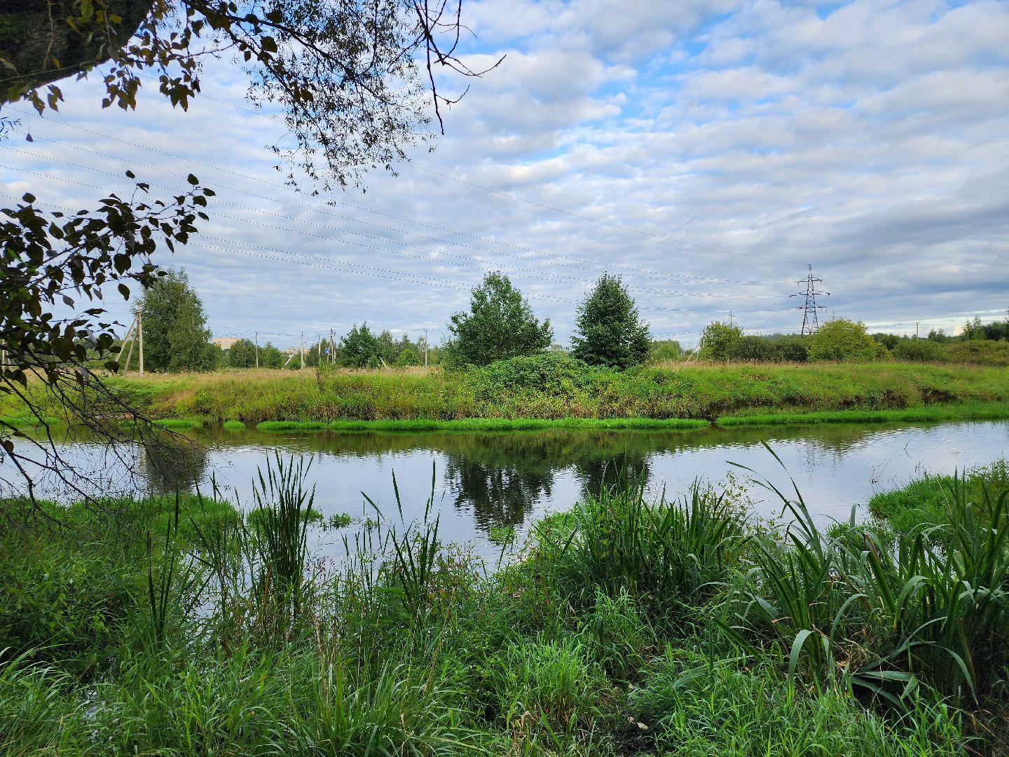 река, городской округ пушкинский, водоём, вода, лето в подмосковье,