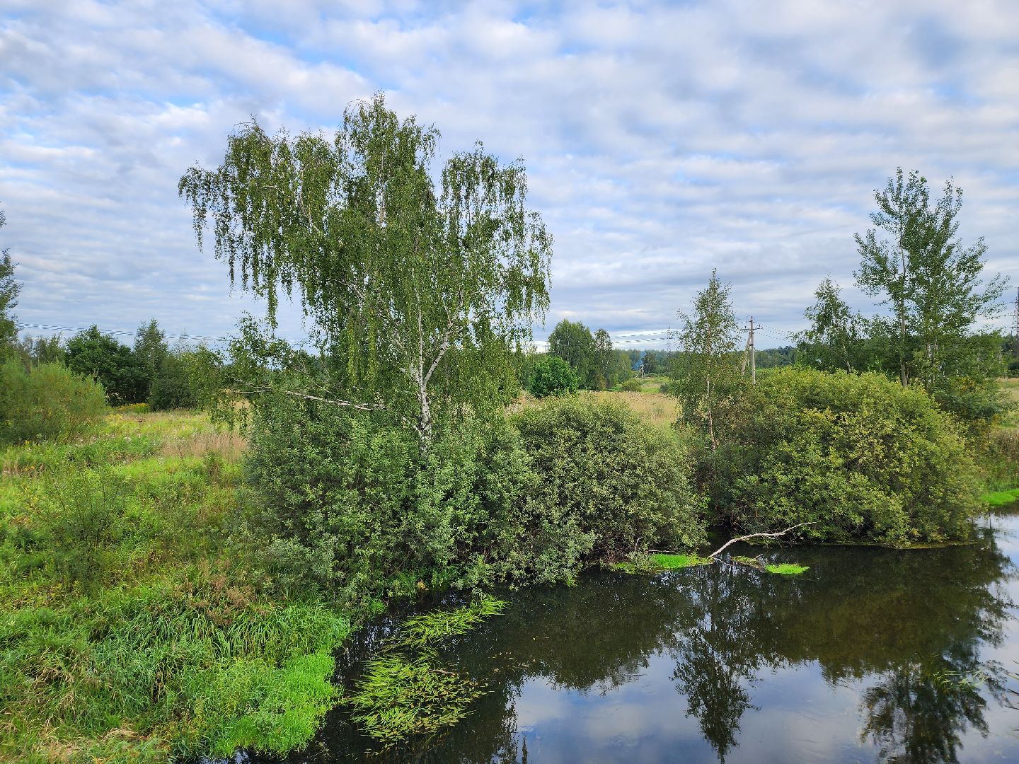 река, городской округ пушкинский, водоём, вода, лето в подмосковье,