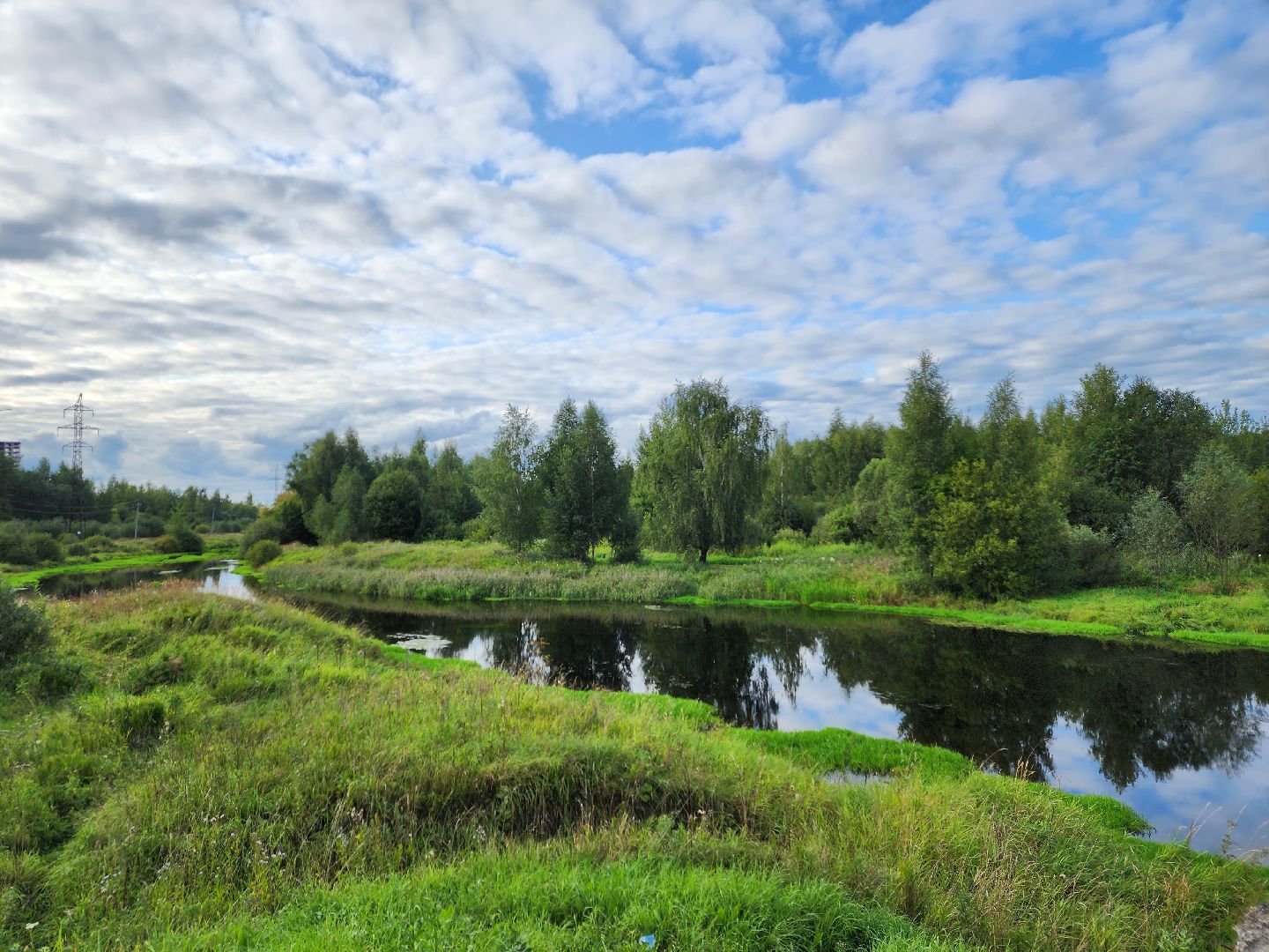 река, городской округ пушкинский, водоём, вода, лето в подмосковье,