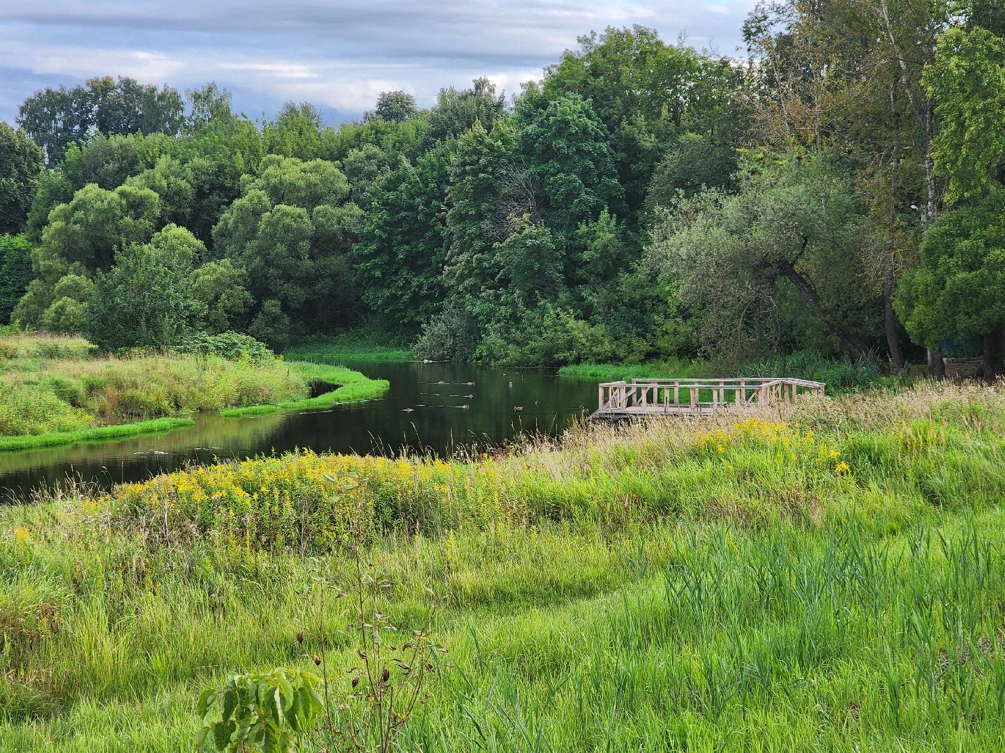 река, городской округ пушкинский, водоём, вода, лето в подмосковье,