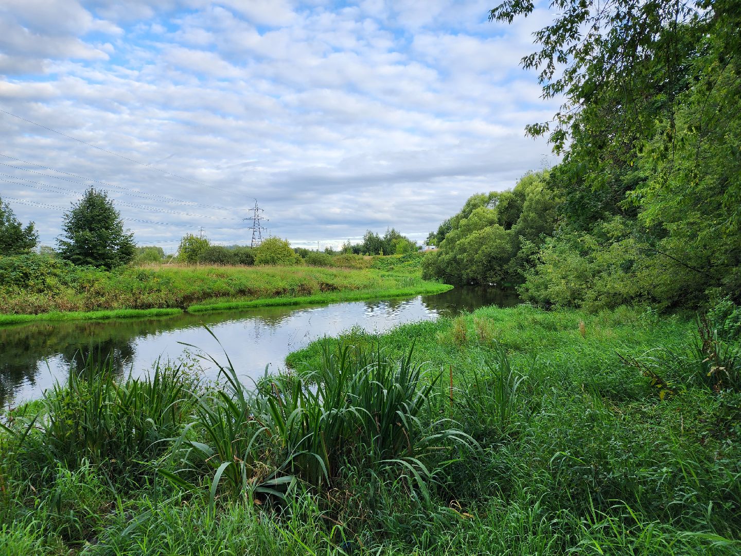 река, городской округ пушкинский, водоём, вода, лето в подмосковье,
