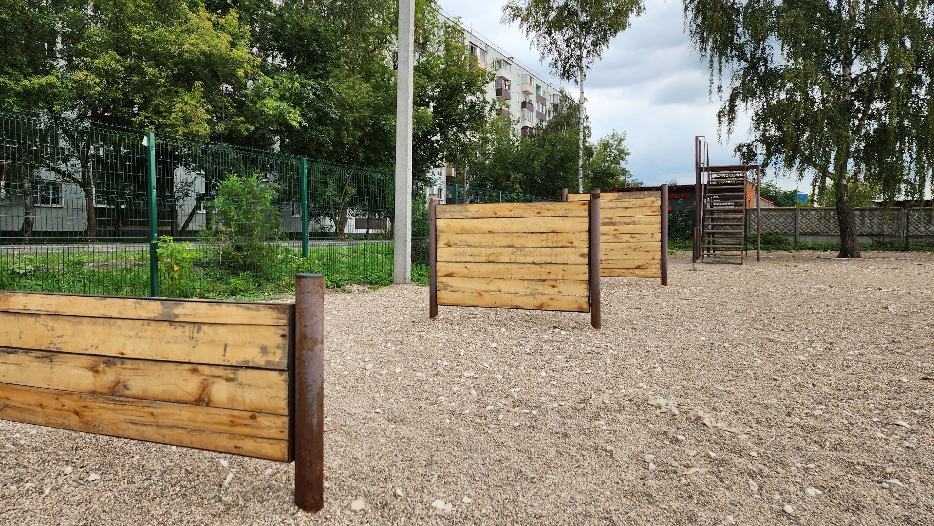 Пушкино, общество, природа, собаки, животные,