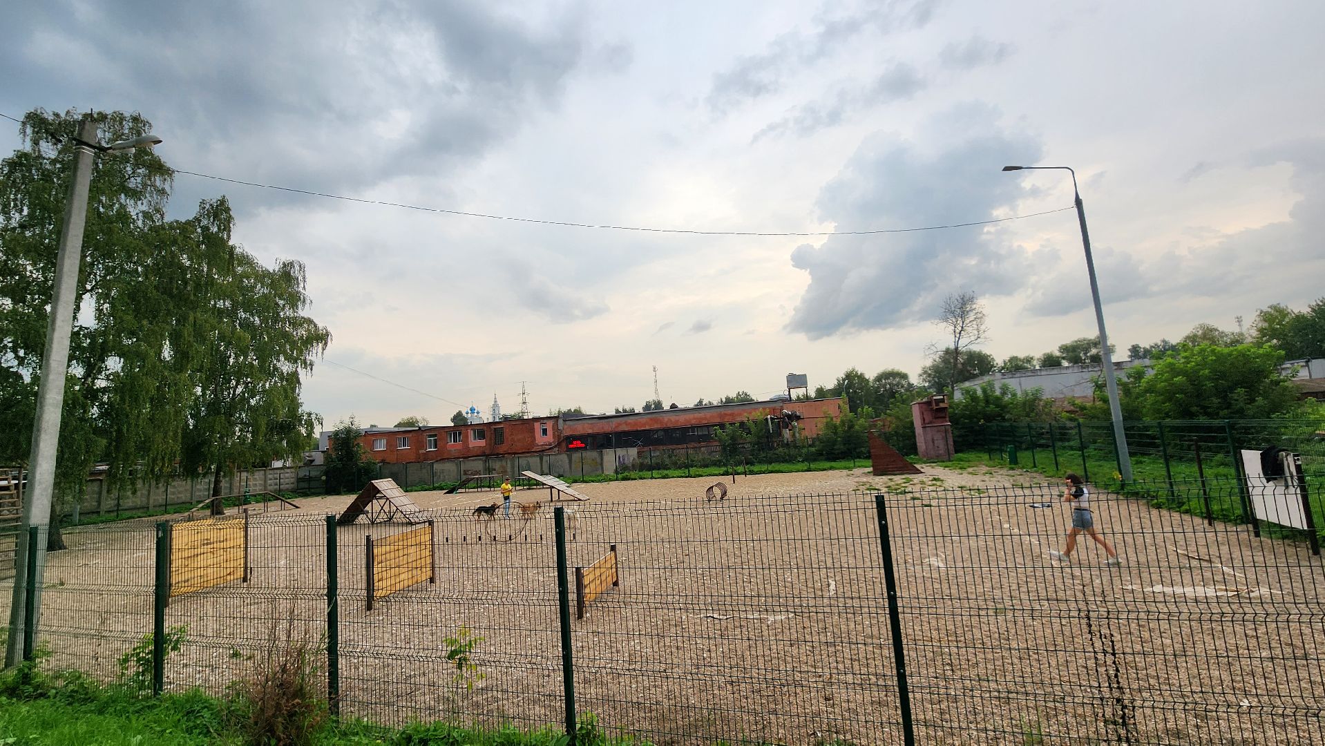 Пушкино, общество, природа, собаки, животные,