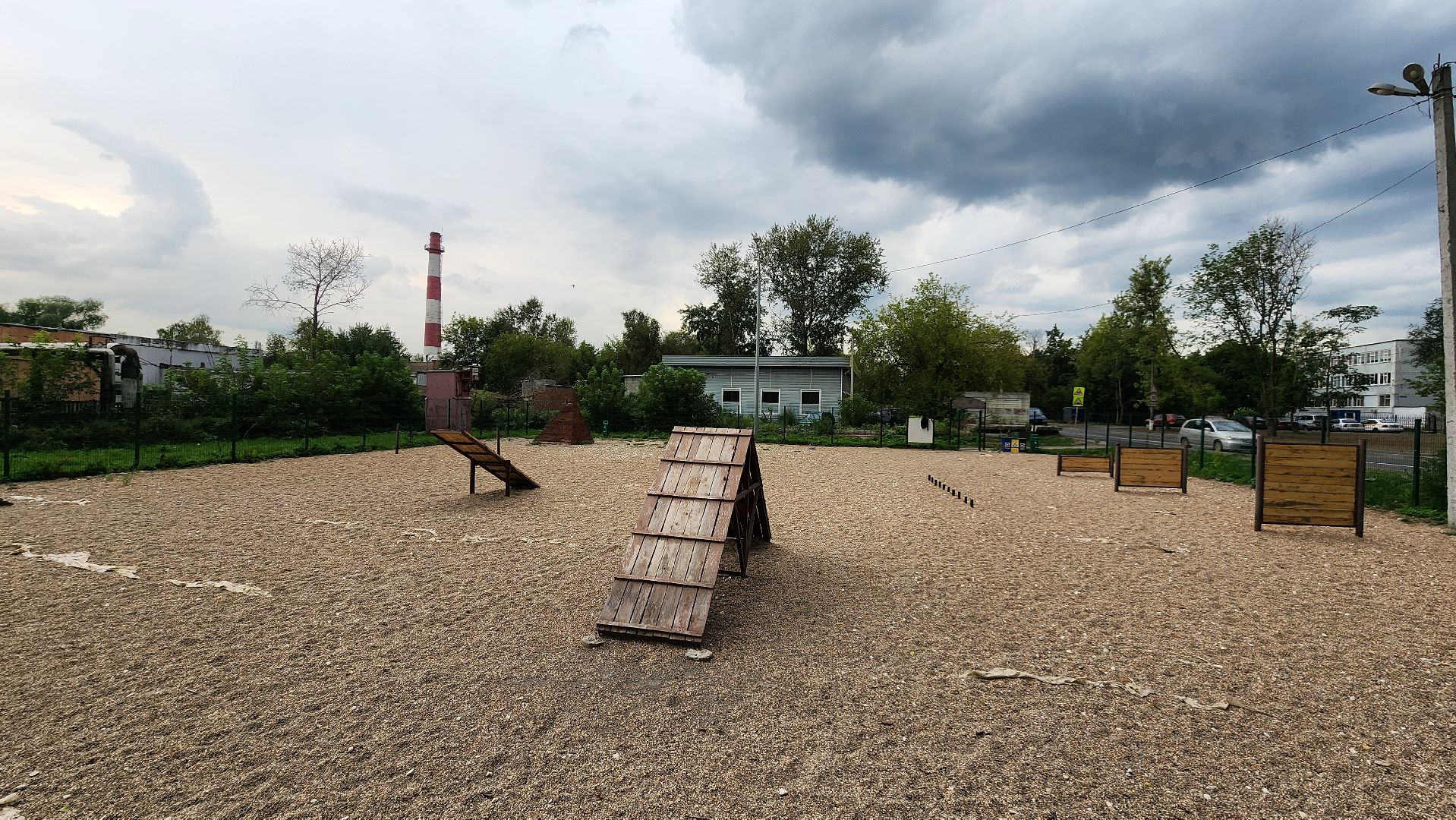 Пушкино, общество, природа, собаки, животные,