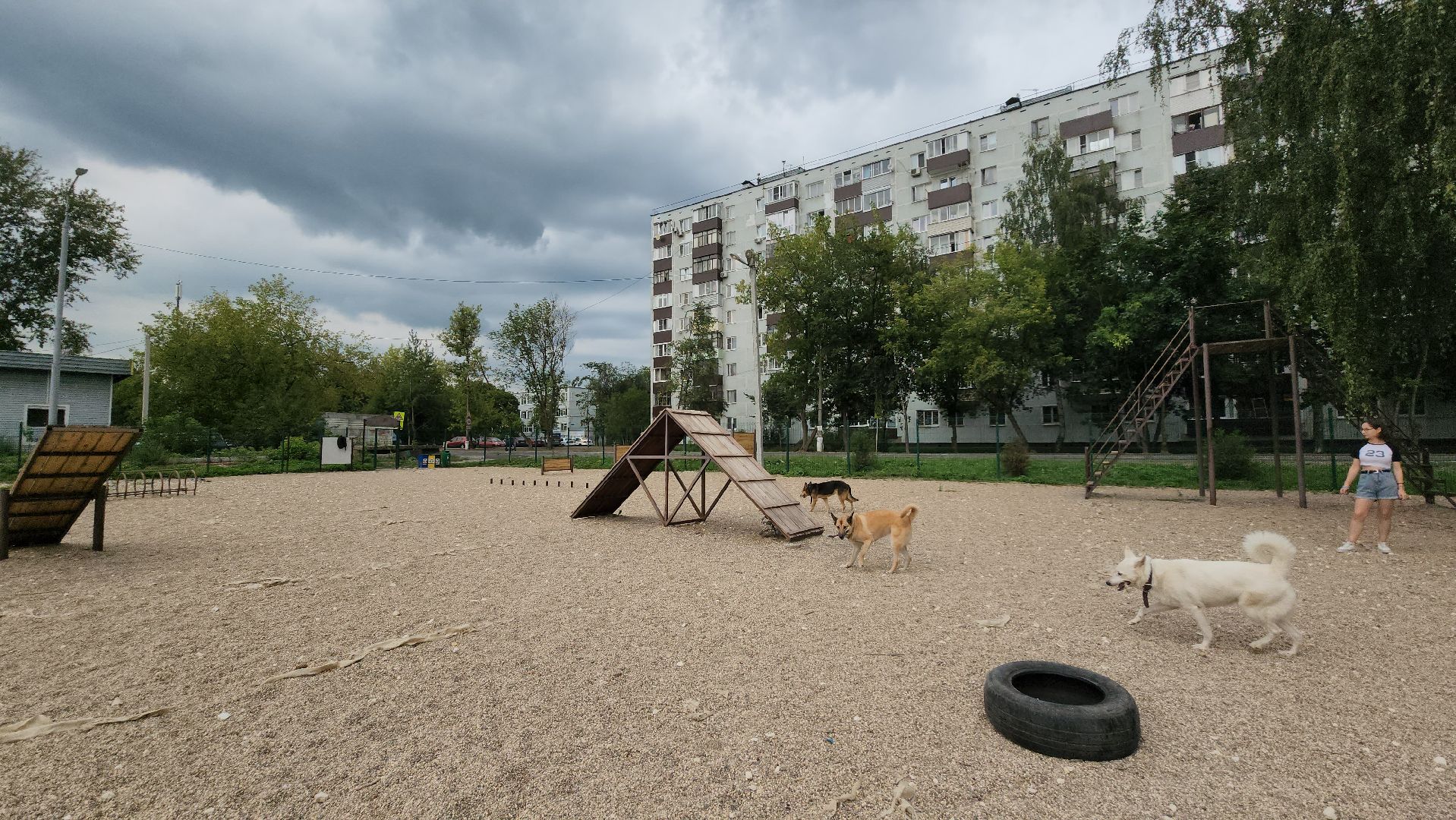 Пушкино, общество, природа, собаки, животные,