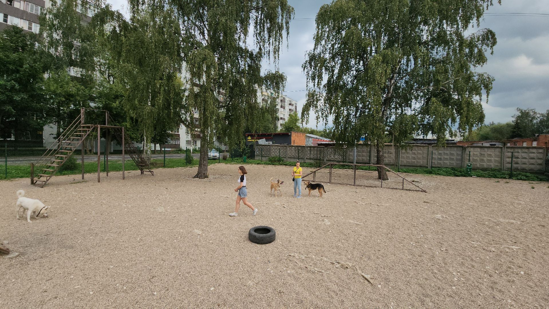 Пушкино, общество, природа, собаки, животные,