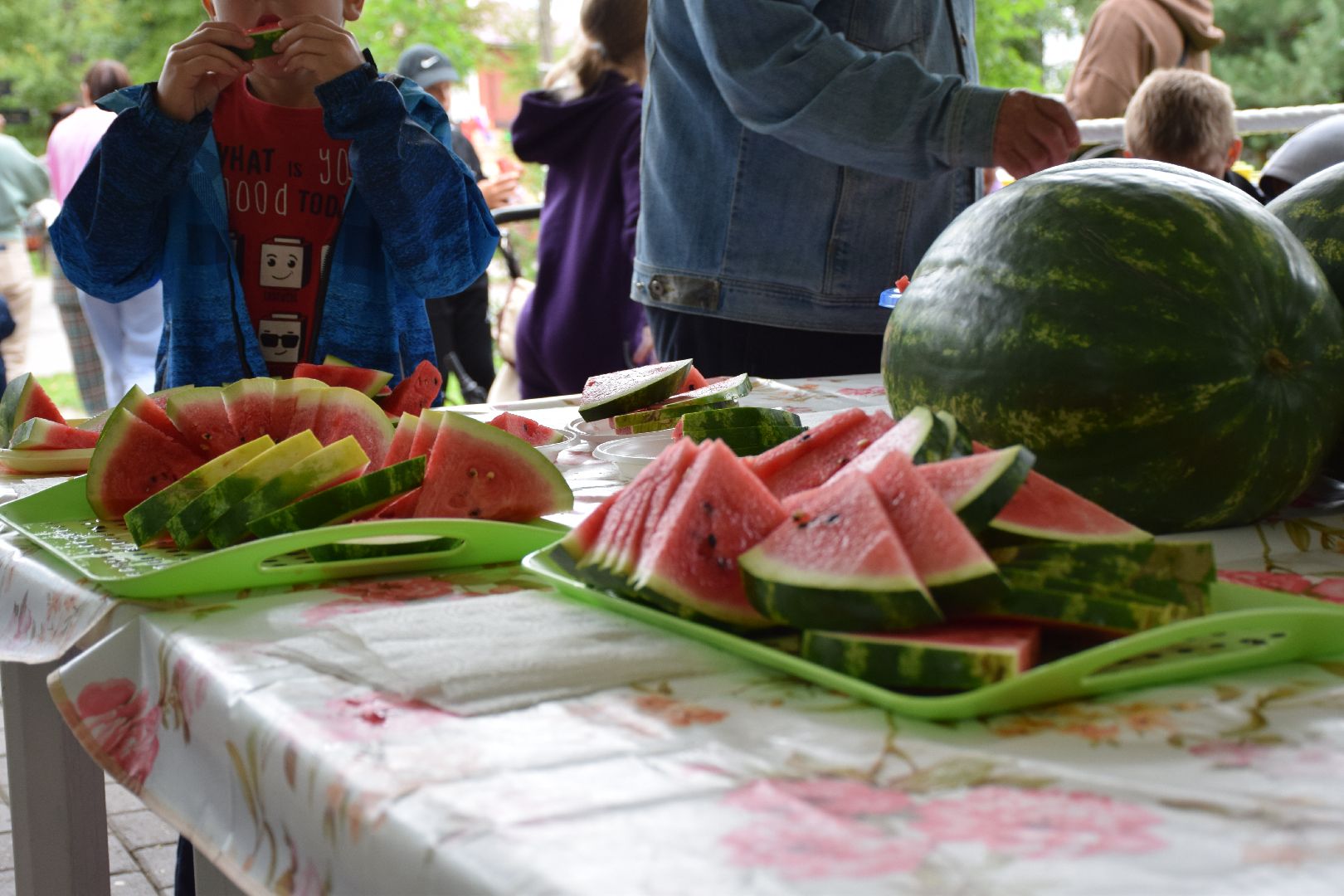 Павловский Посад, городской округ Павловский Посад, люди, арбузы, дети, пикник, лето, парк