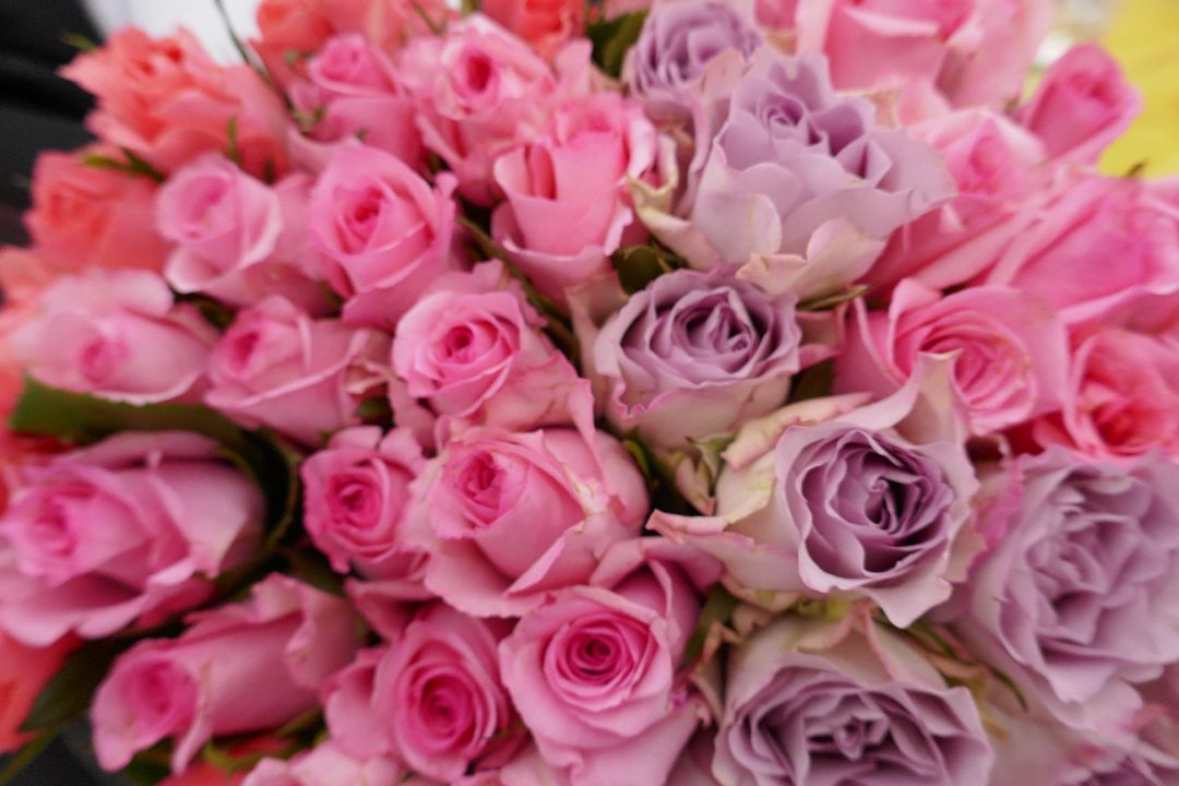 Подольск, цветы, поздравление, волонтеры, весна