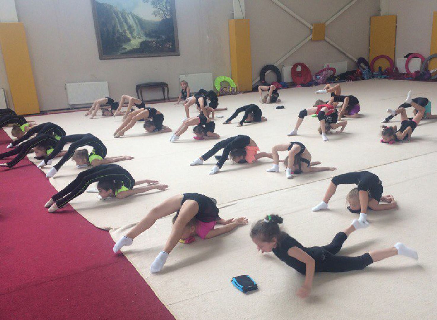 Звенигород, спорт, школа Ольги Капрановой, спорткомплекс