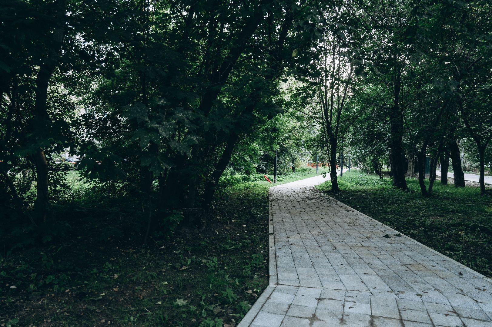 благоустройство, сквер, Щёлково