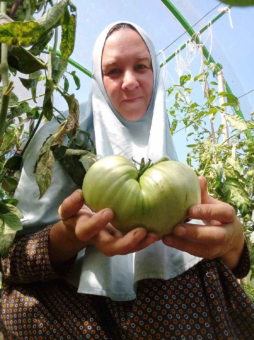 Можайск, Можайский городской округ, Подмосковье, урожай, монастырь, огород, овощи, фрукты, заготовки на зиму, традиции