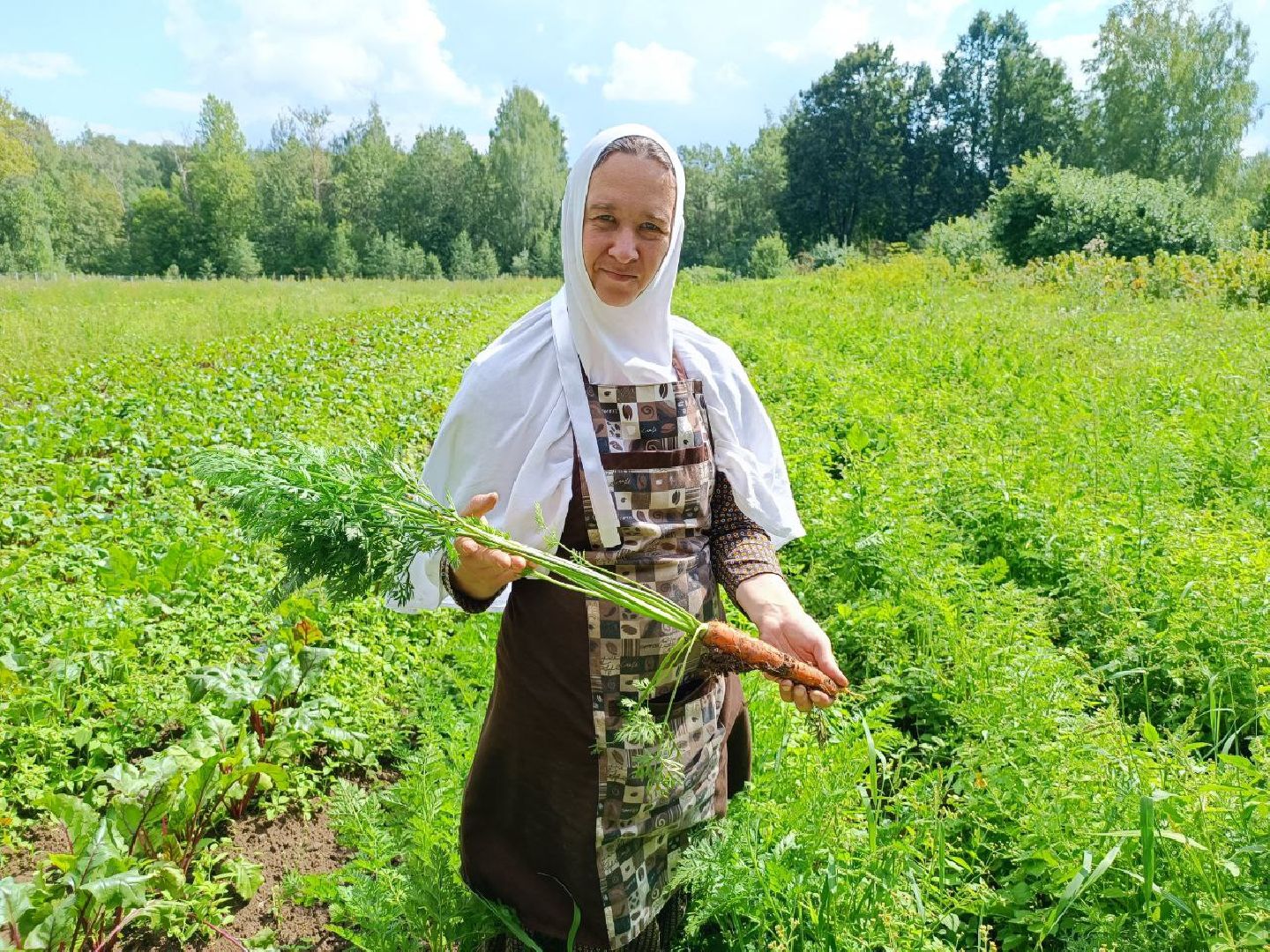 Можайск, Можайский городской округ, Подмосковье, урожай, монастырь, огород, овощи, фрукты, заготовки на зиму, традиции