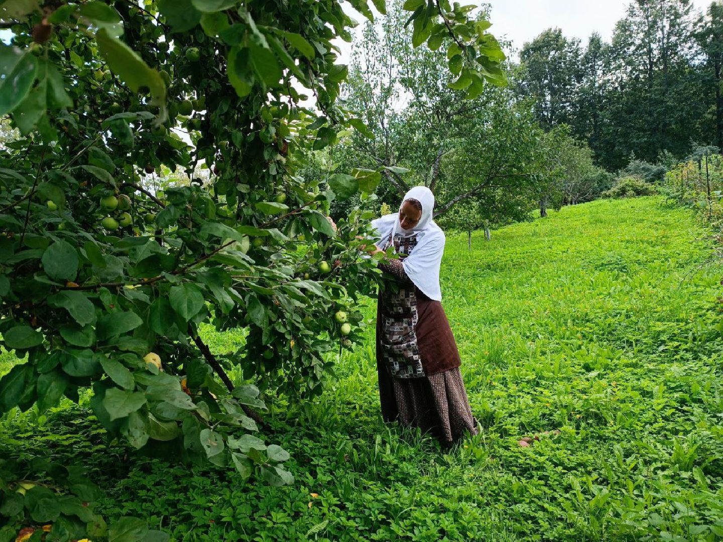 Можайск, Можайский городской округ, Подмосковье, урожай, монастырь, огород, овощи, фрукты, заготовки на зиму, традиции