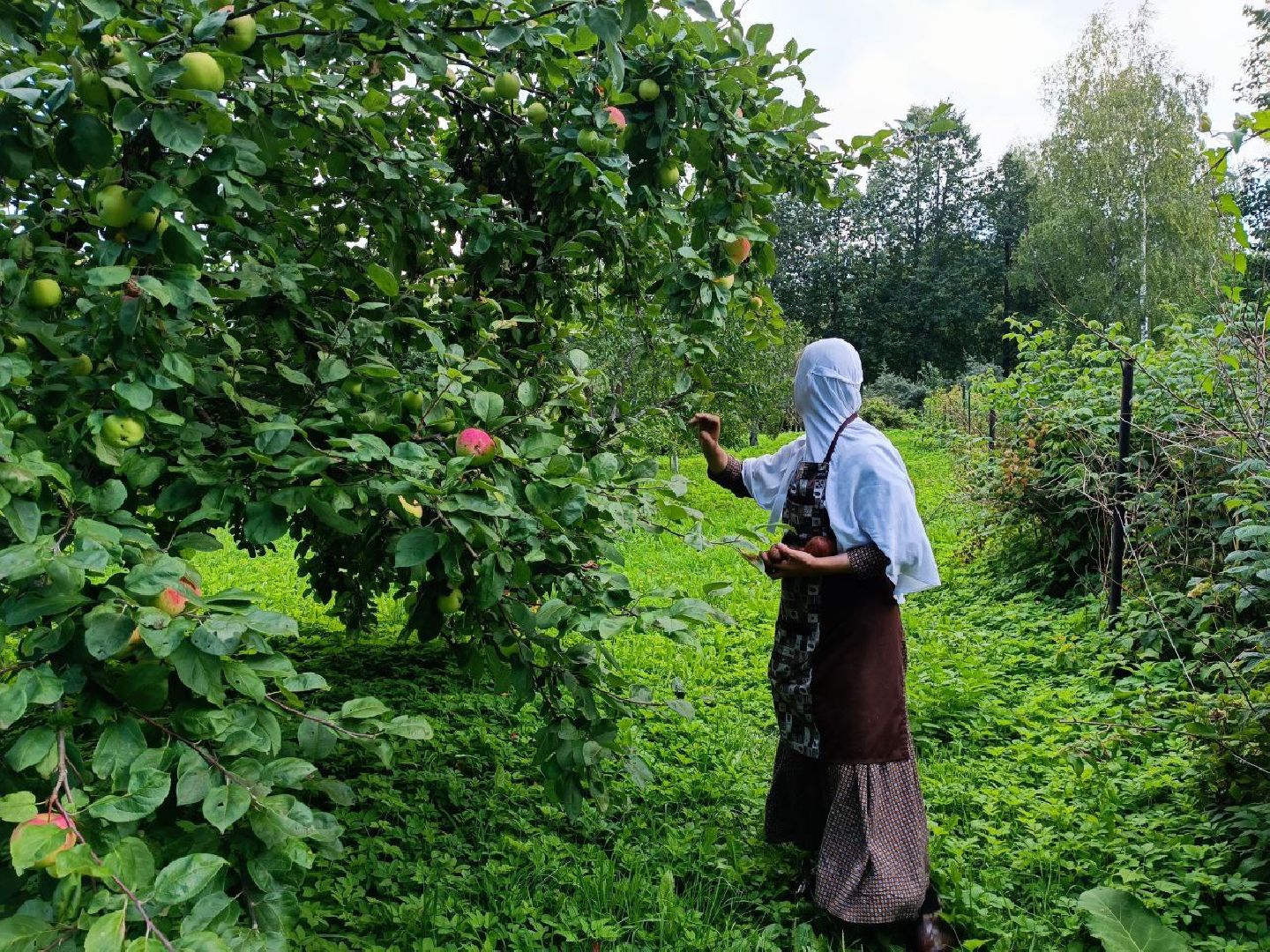 Можайск, Можайский городской округ, Подмосковье, урожай, монастырь, огород, овощи, фрукты, заготовки на зиму, традиции