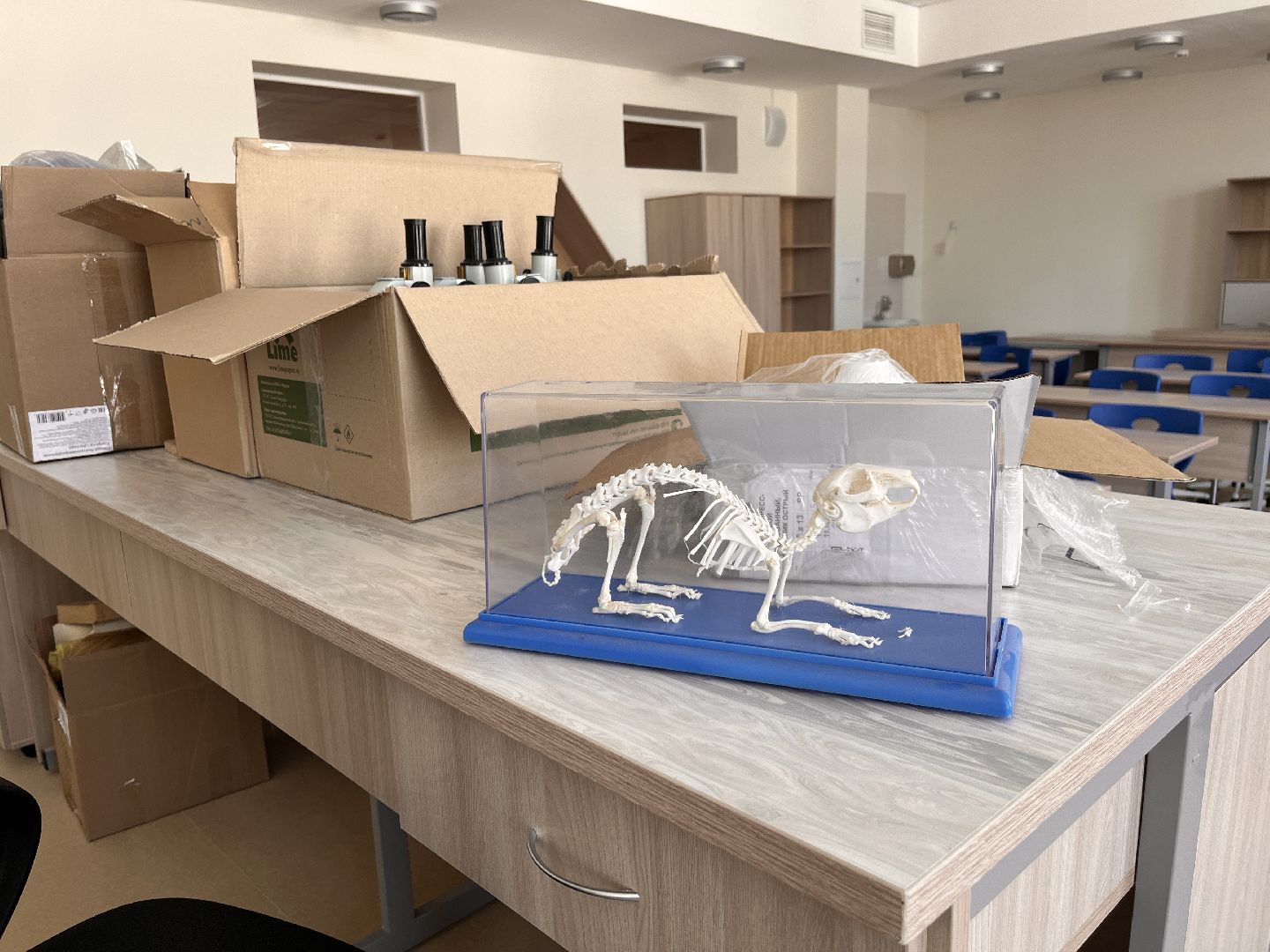 Школа, Образование, Школьники, Строительство, Руза, Рузский городской округ, Губернатор Воробьев