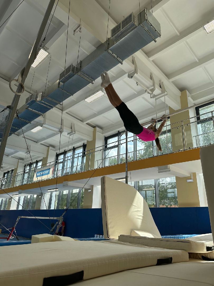 Кубок губернатора, чемпионат по спортивной гимнастике, Наро-Фоминск