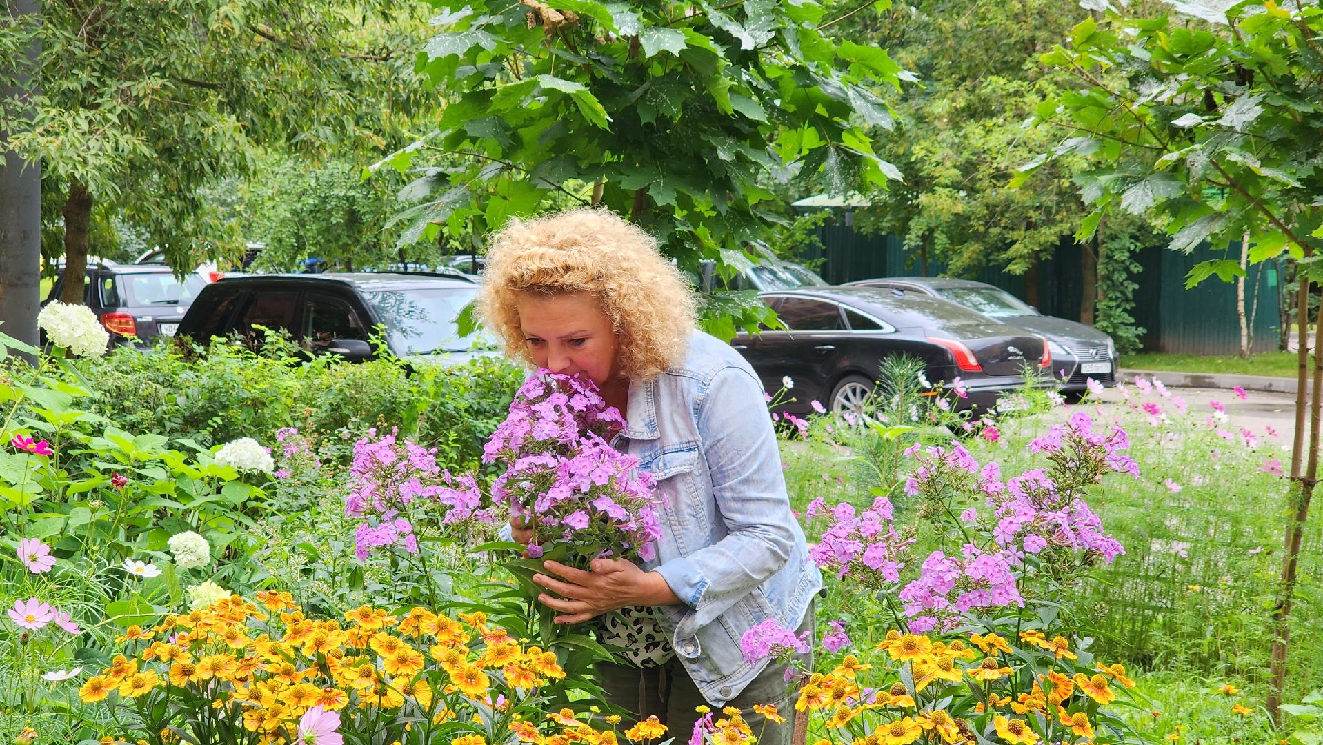 озеленение, озеленение двора, благоустройство, дворы,