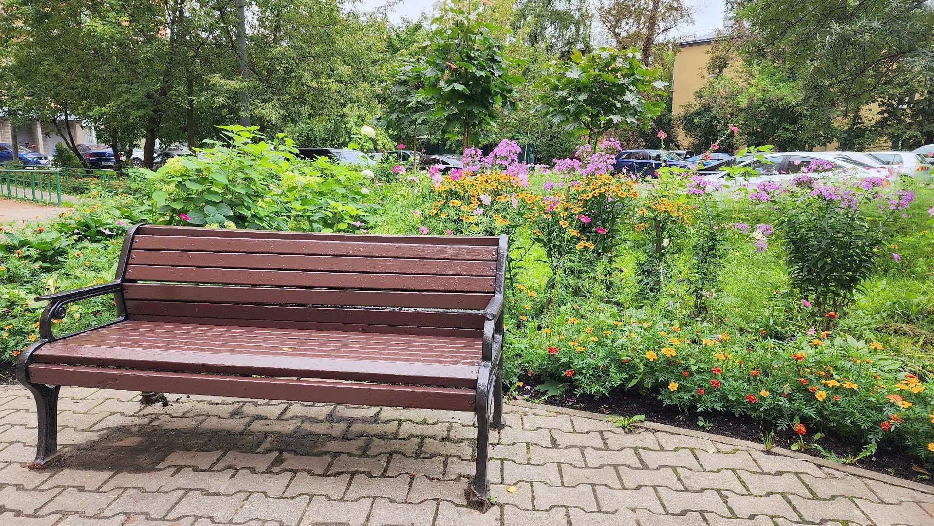 озеленение, озеленение двора, благоустройство, дворы,