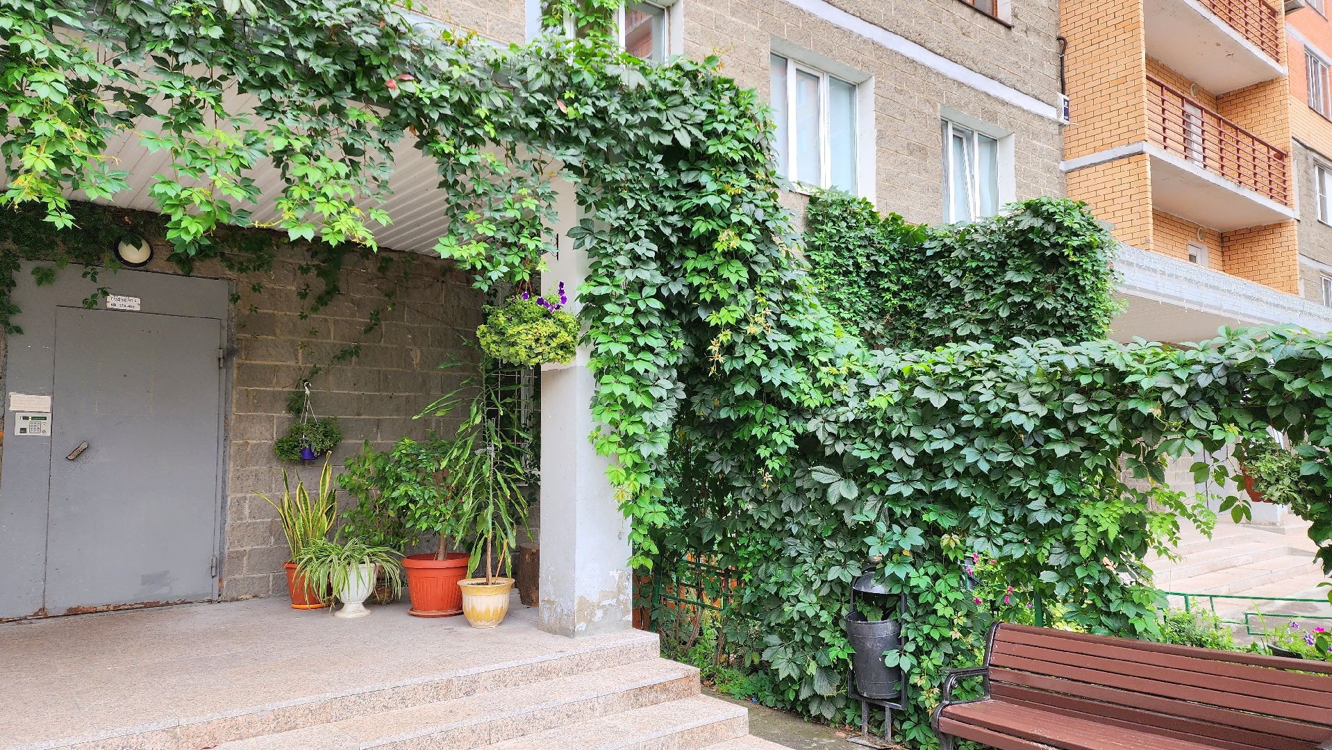 озеленение, озеленение двора, благоустройство, дворы,