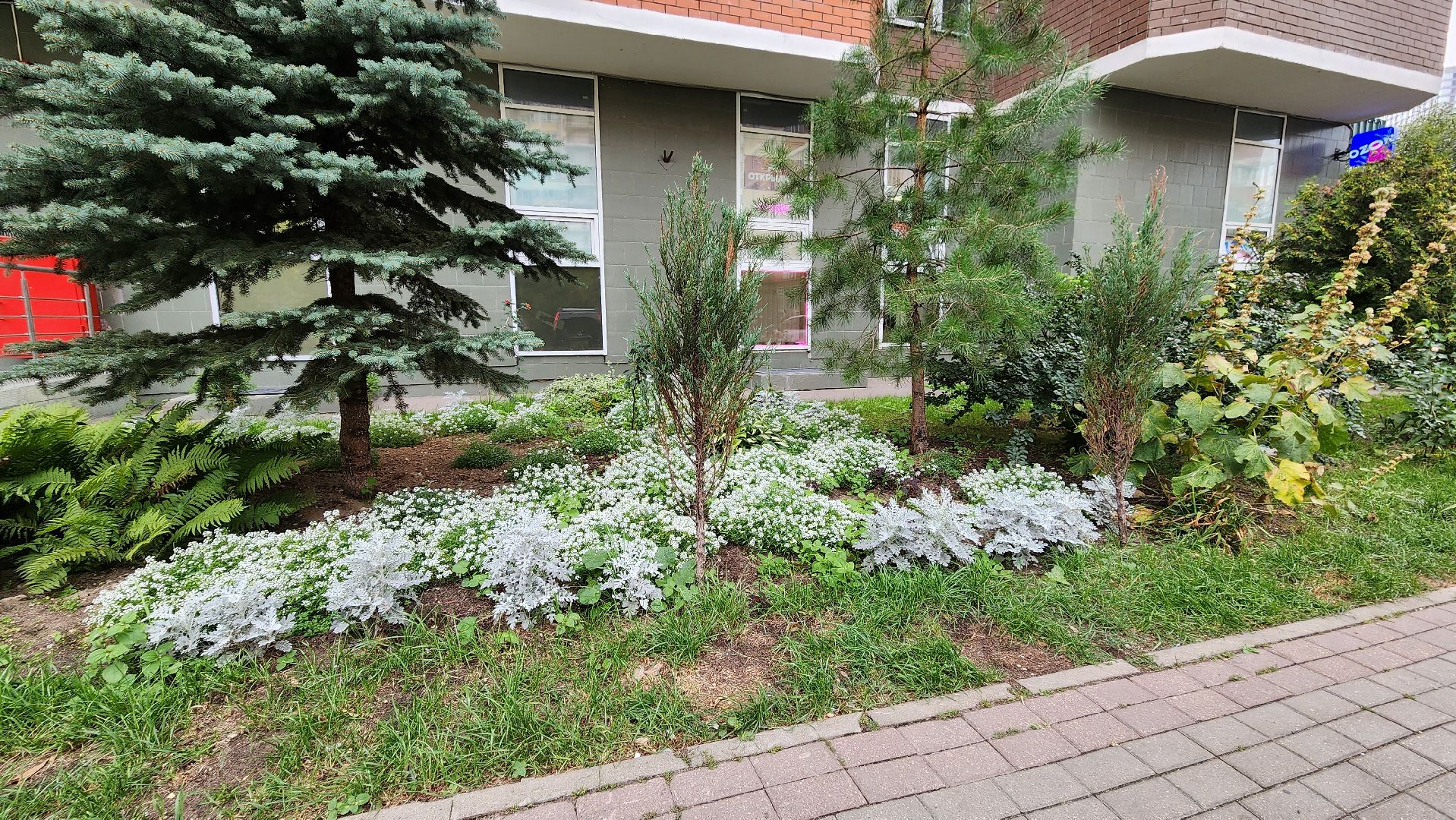 благоустройство, цветник, жители, Котельники