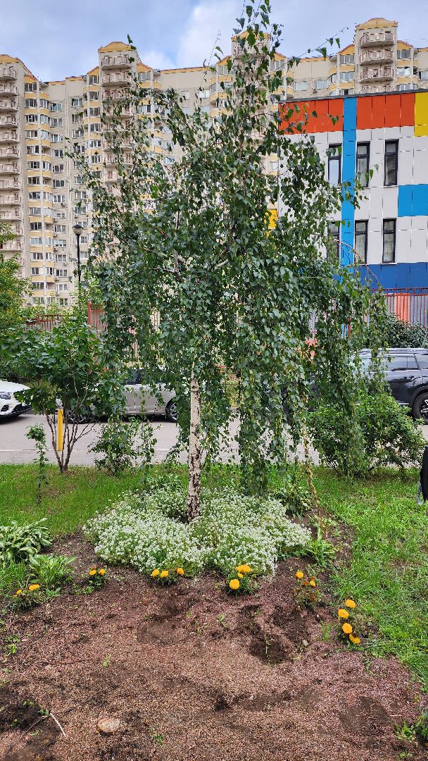 благоустройство, цветник, жители, Котельники