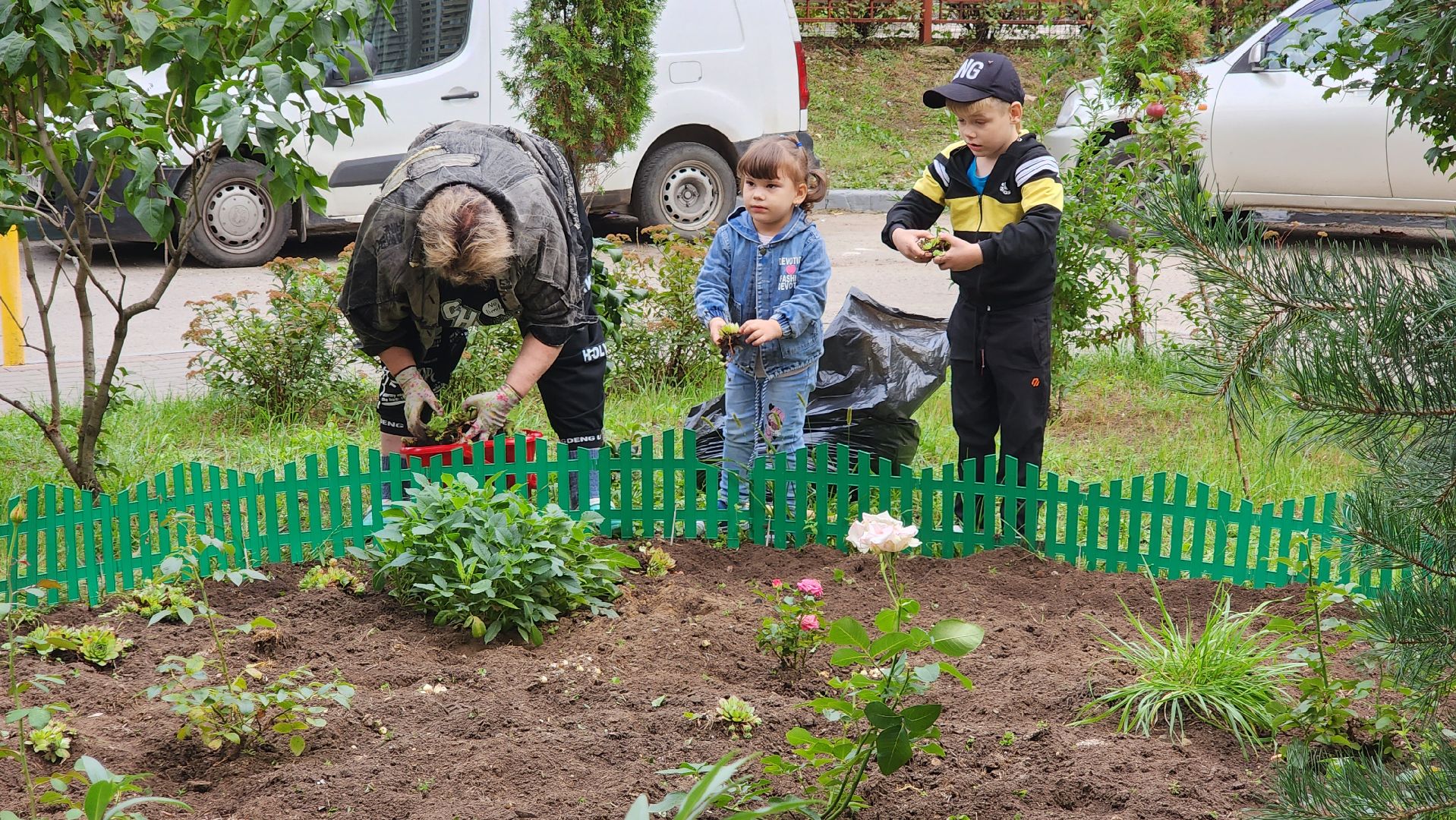 благоустройство, цветник, жители, Котельники
