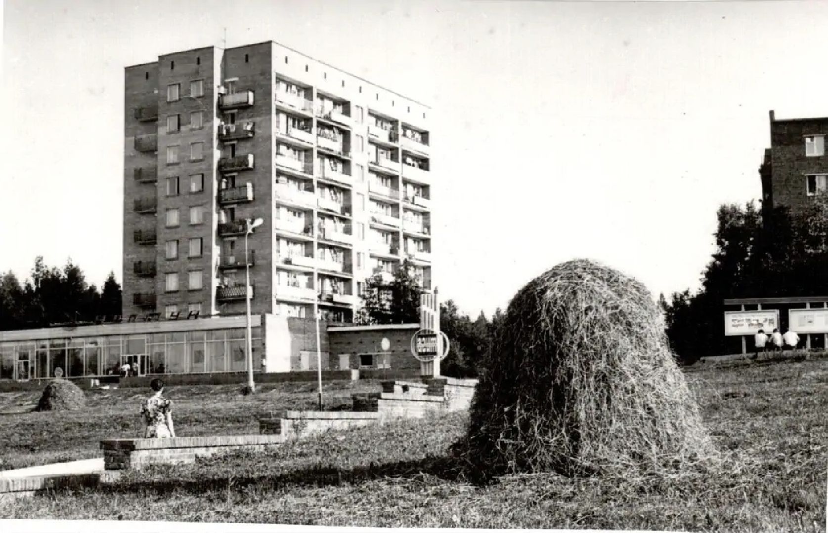 Пущино, герб