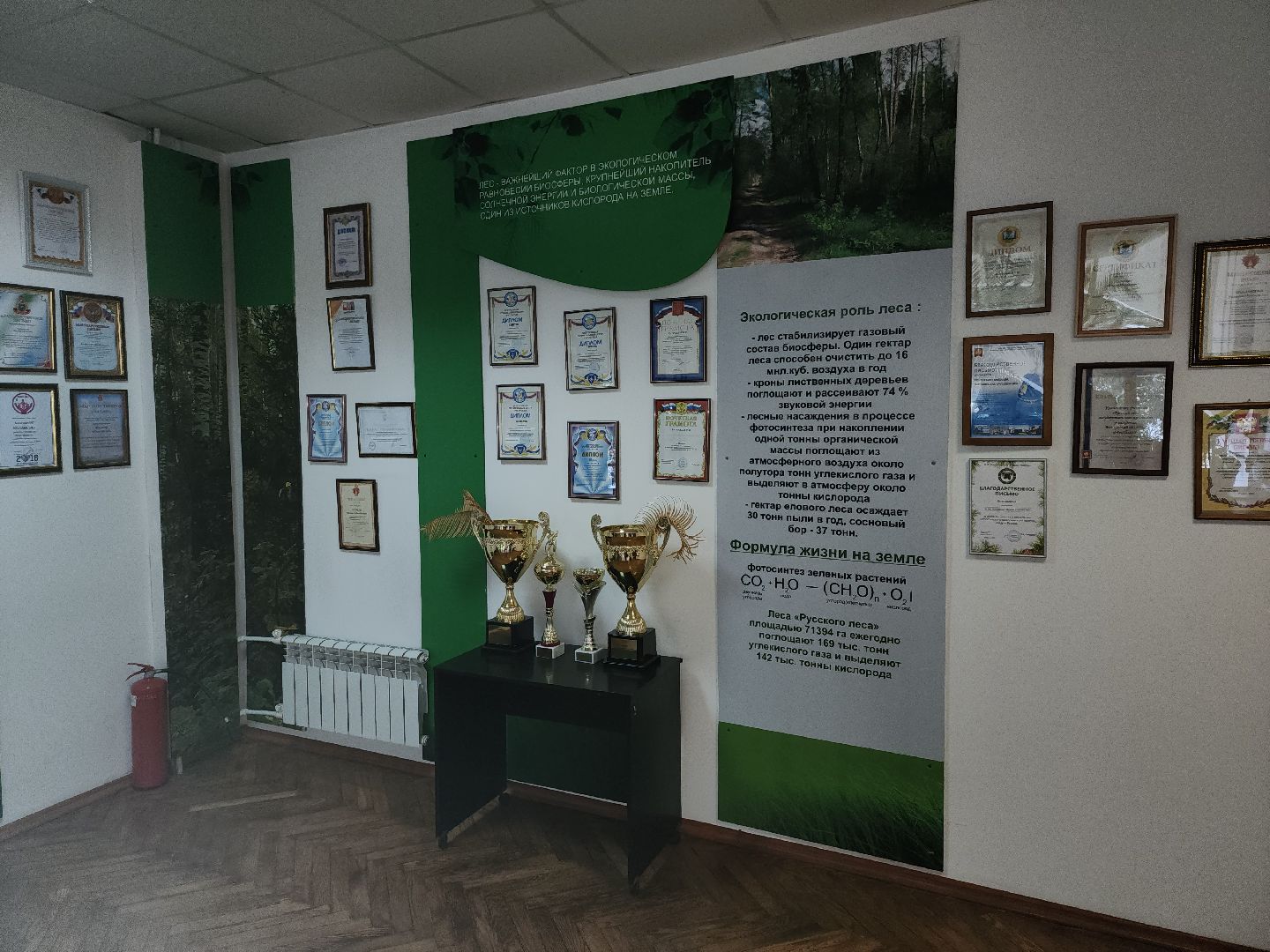 Серпухов, Подмосковье, Русский лес, инспектор