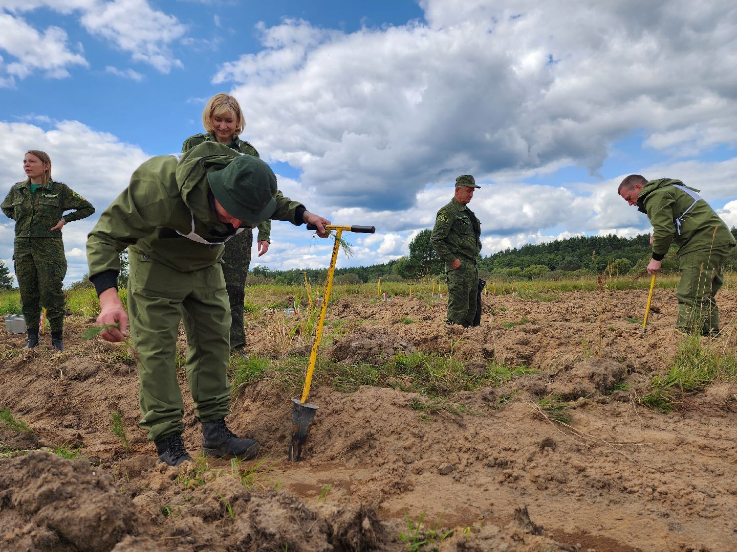 лесник года, Воскресенск, лес,
