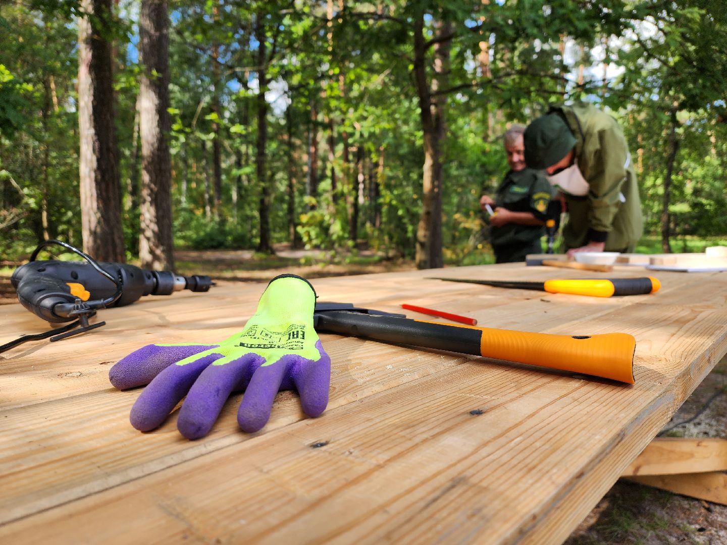 лесник года, Воскресенск, лес,