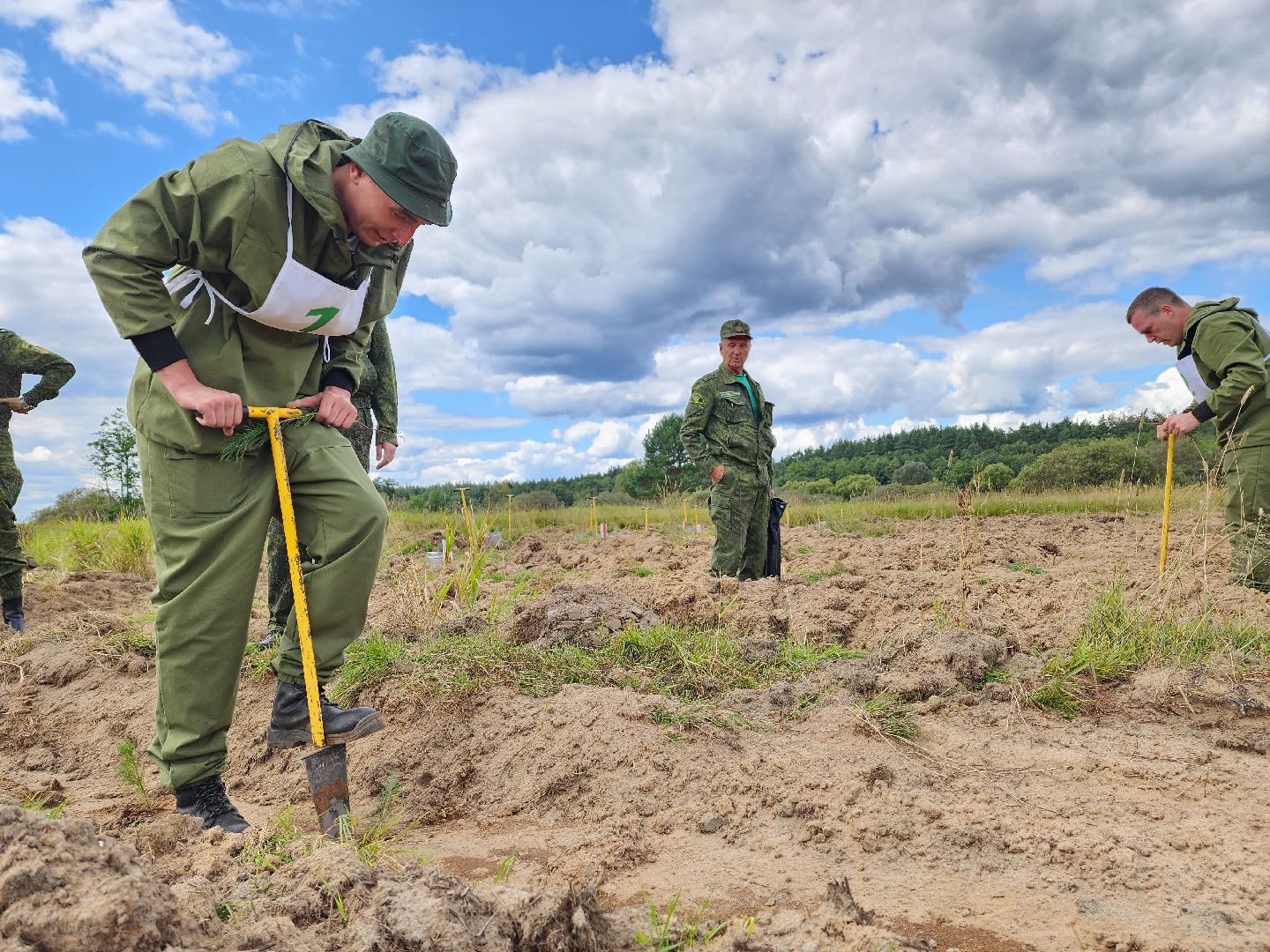 лесник года, Воскресенск, лес,