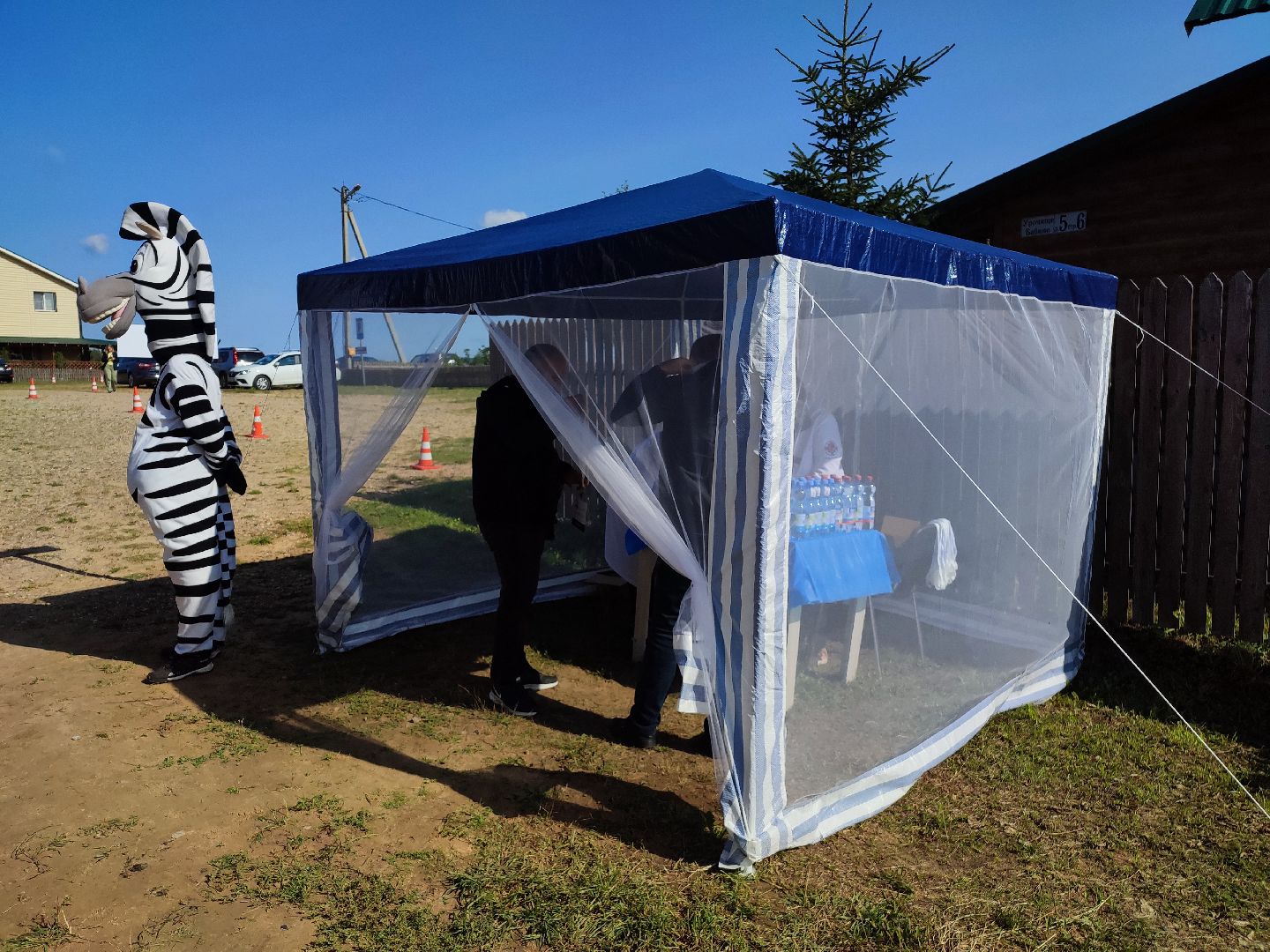 #талдомскийокруг, #учения, #минсельхоз, #свиньи, #ачс