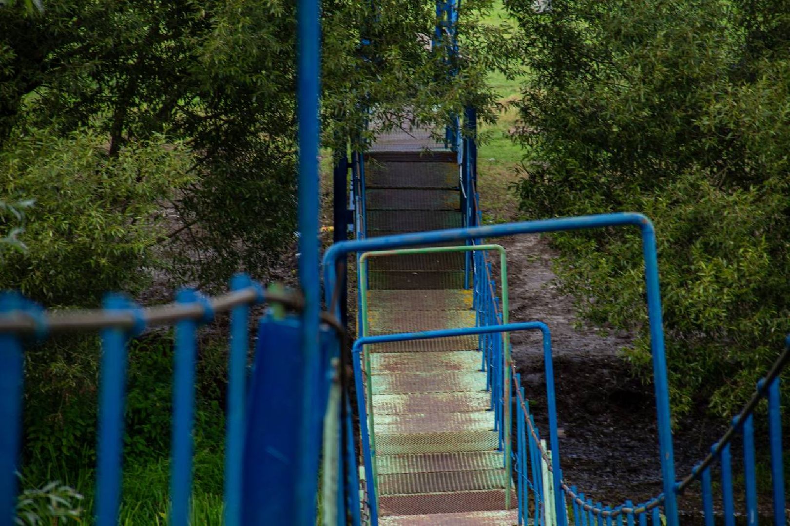 Подольск, подвесной мост, ремонт завершен, население, Дубровицы