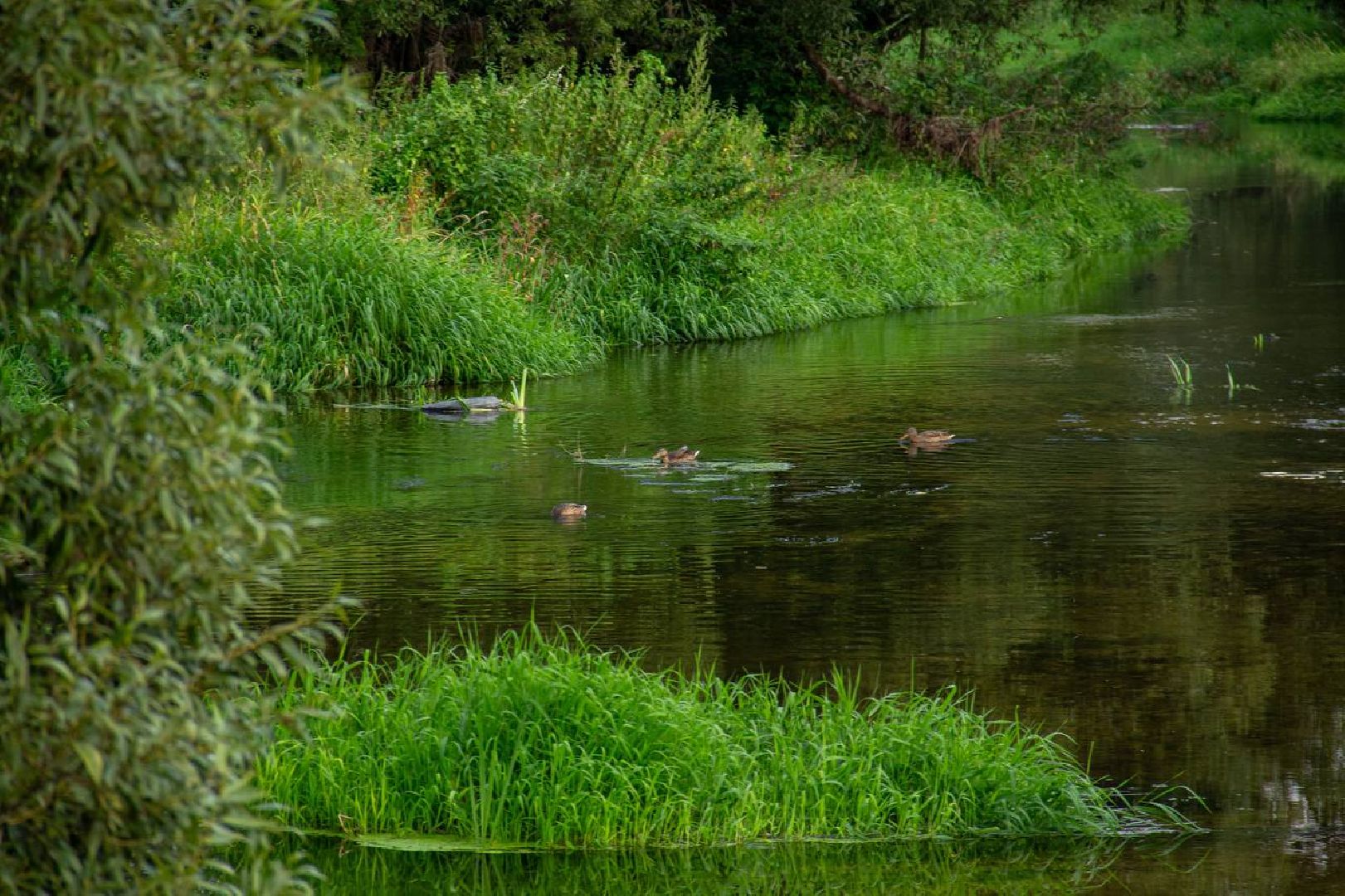 Подольск, подвесной мост, ремонт завершен, население, Дубровицы