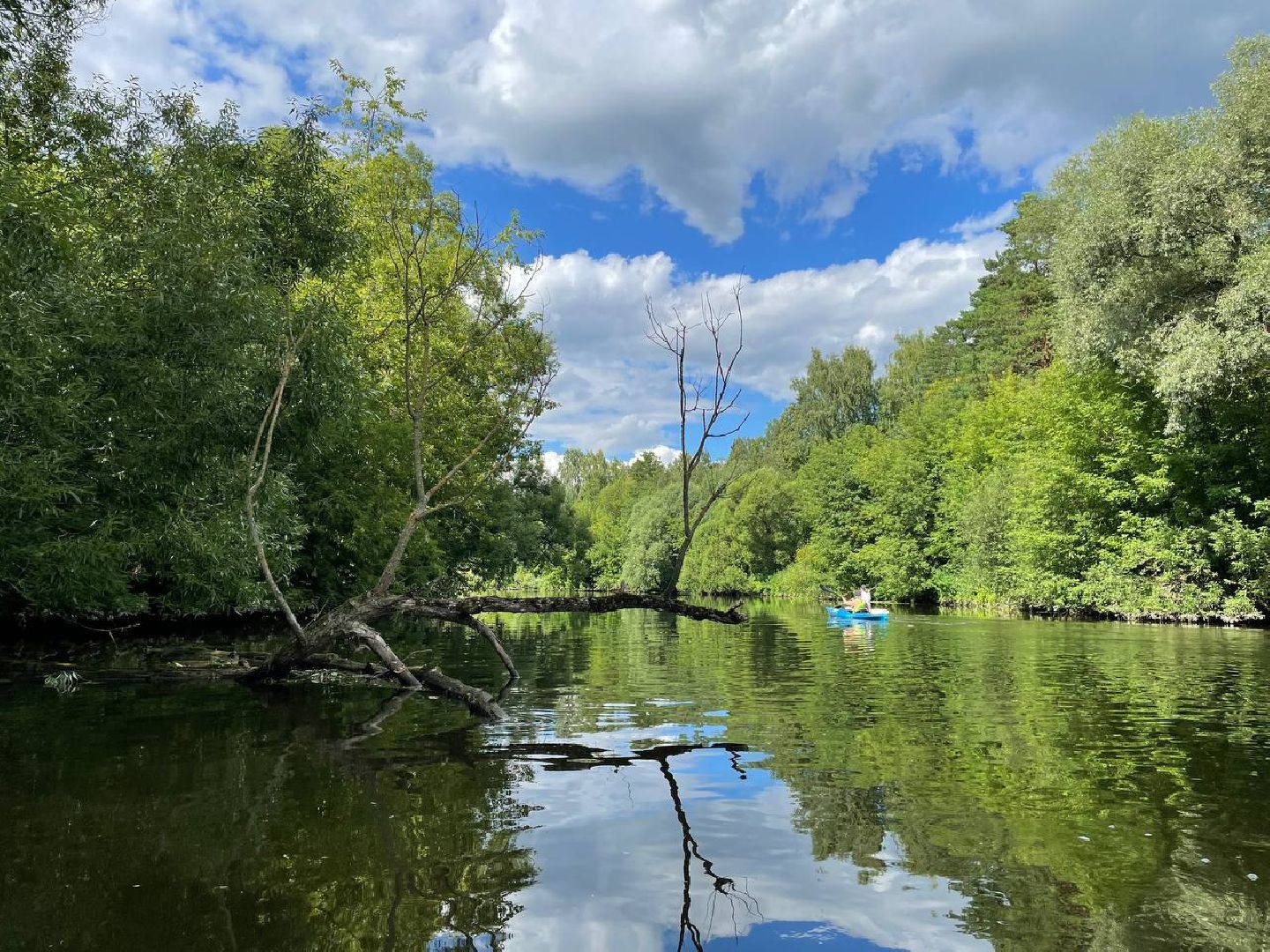 Домодедово, сплав, группой сплав, инструкция, река, сапборд,каяк, лодка