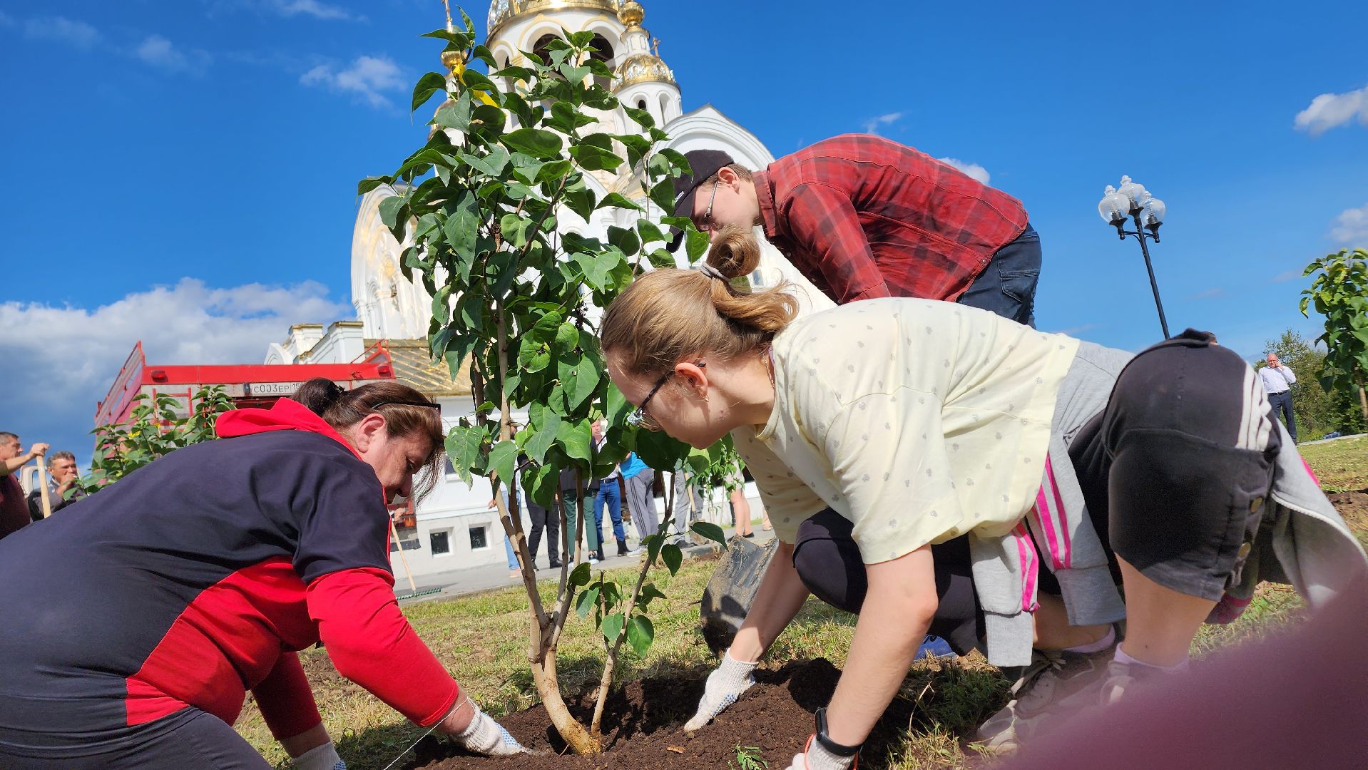 Ступино, аллея дружбы, день города,