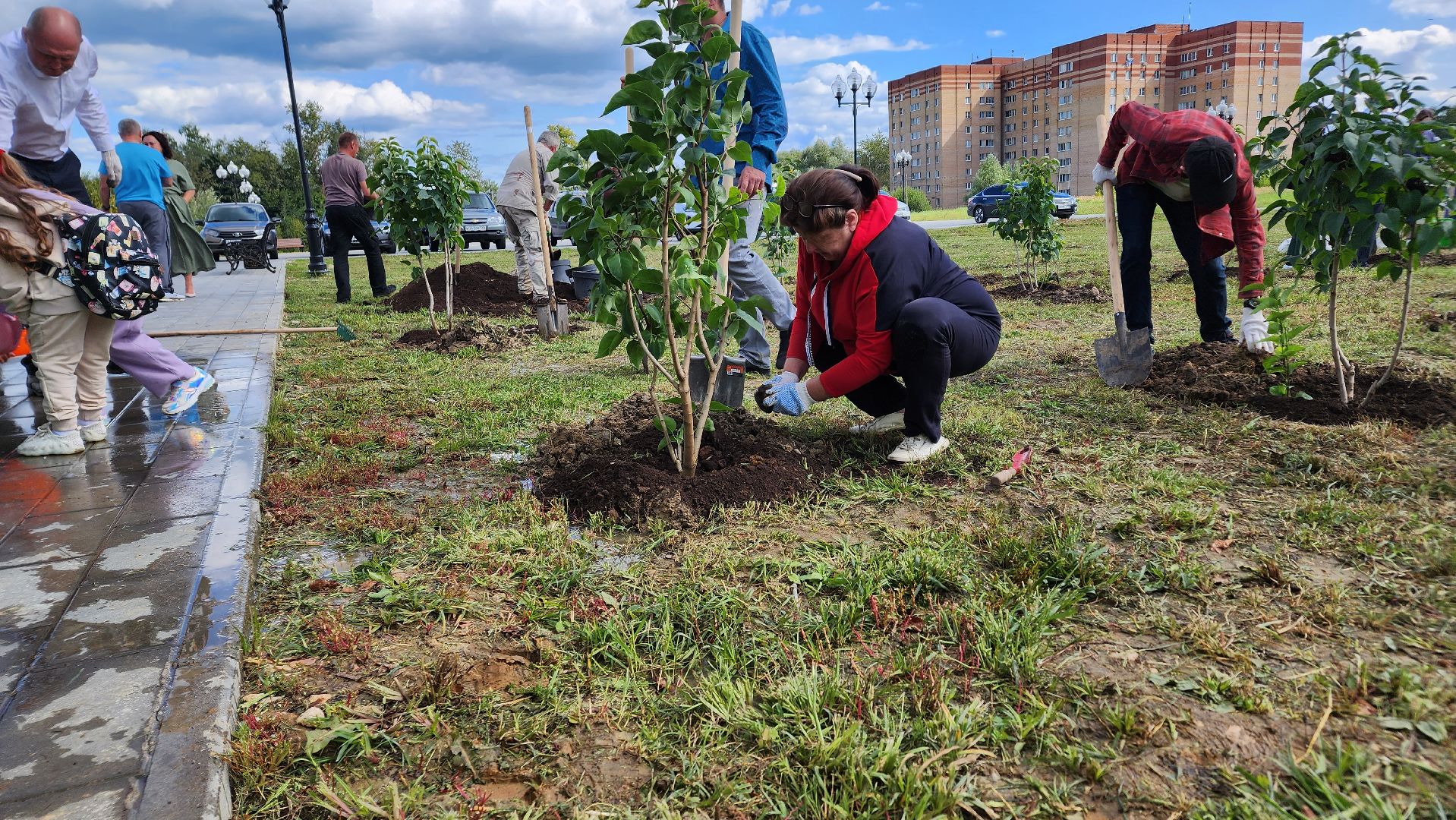 Ступино, аллея дружбы, день города,