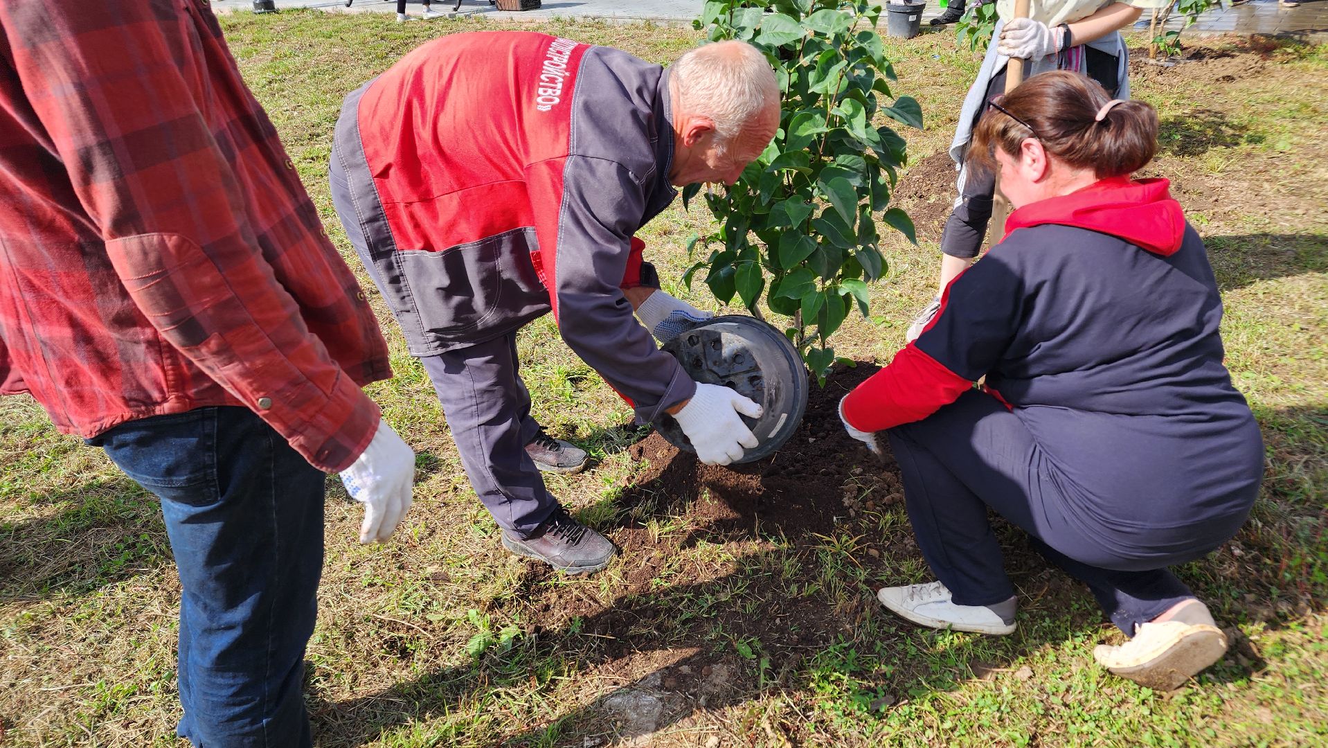 Ступино, аллея дружбы, день города,