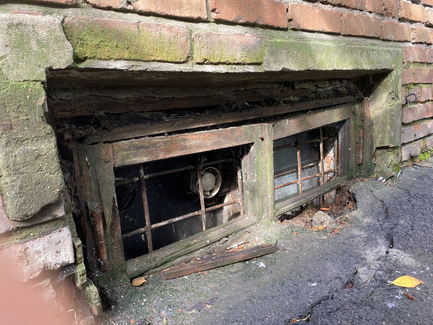 Балашиха, ТЦ Светофор. Столовая 11, Балашихинский трест столовых