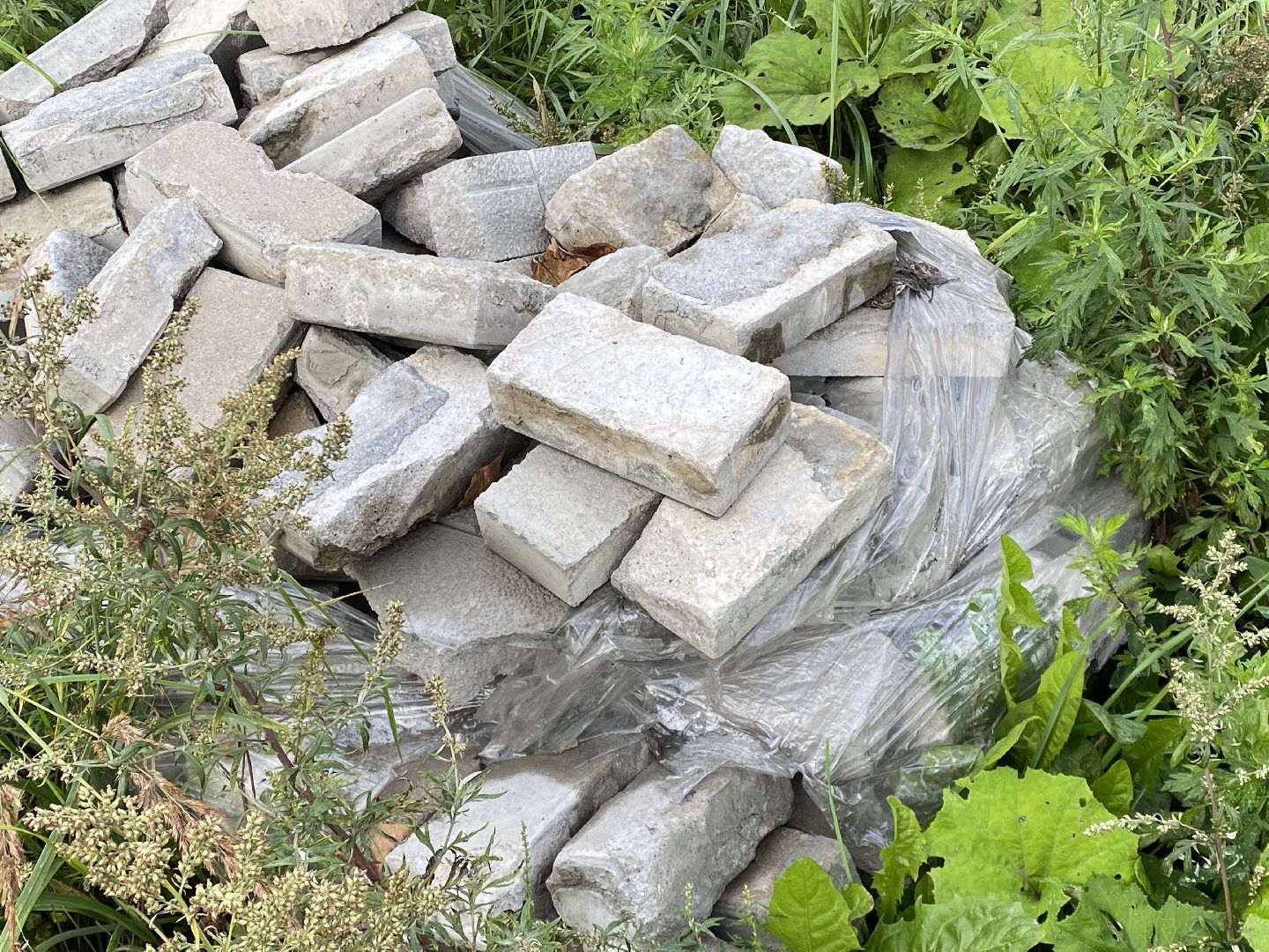 Балашиха, ТЦ Светофор. Столовая 11, Балашихинский трест столовых